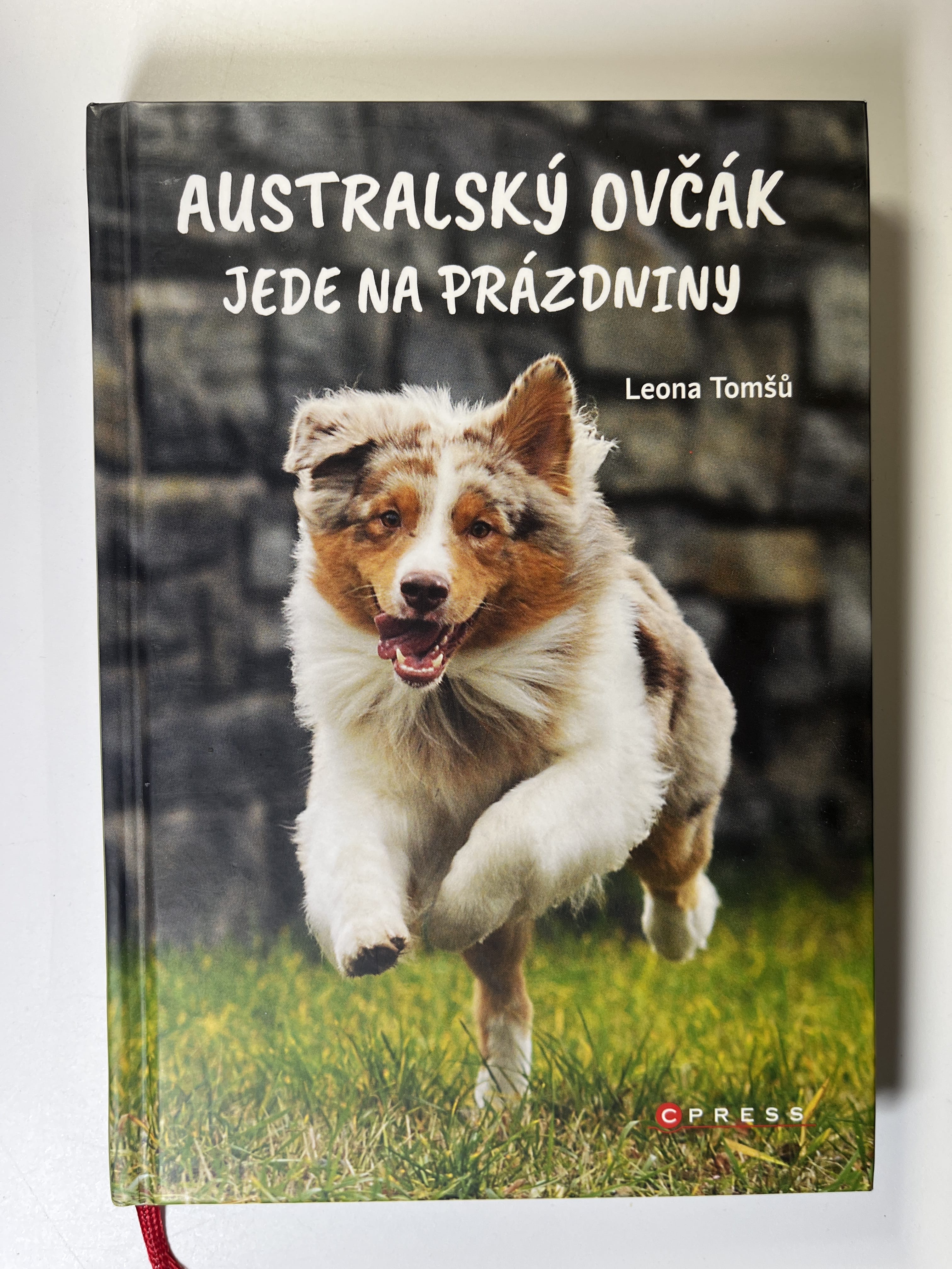 Australský ovčák jede na prázdniny