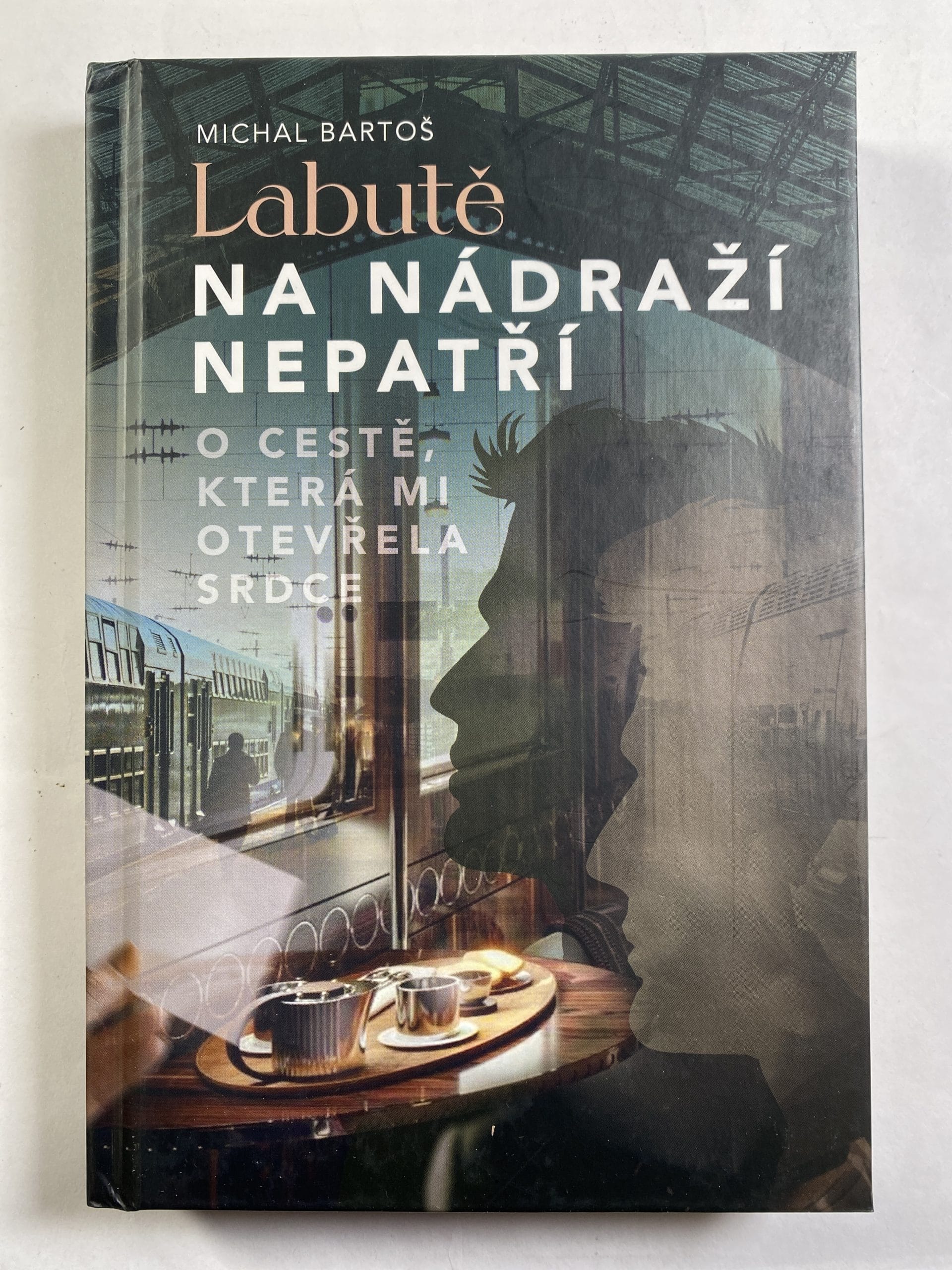 Labutě na nádraží nepatří Pevná (2024)