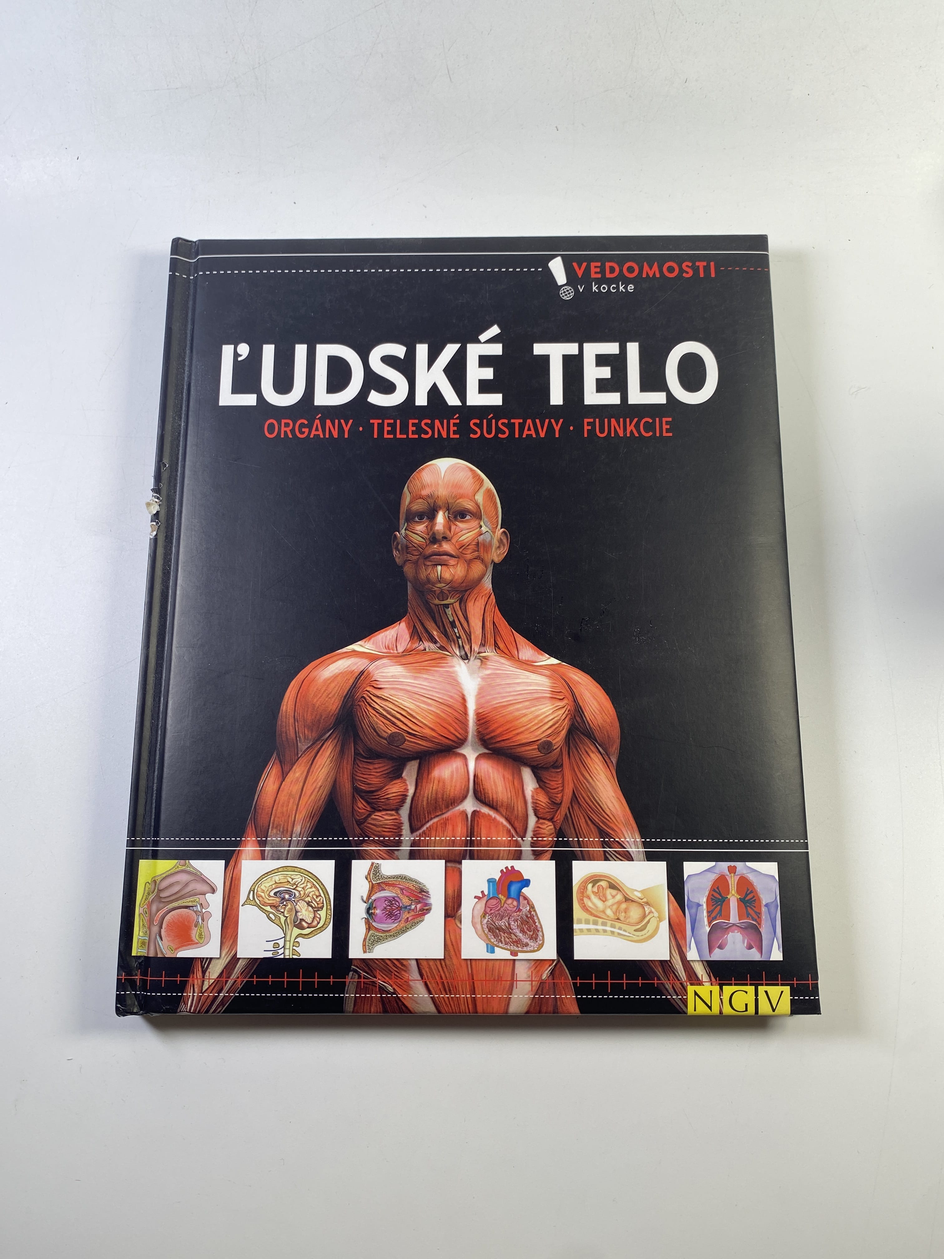 Vedomosti v kocke - Ľudské telo