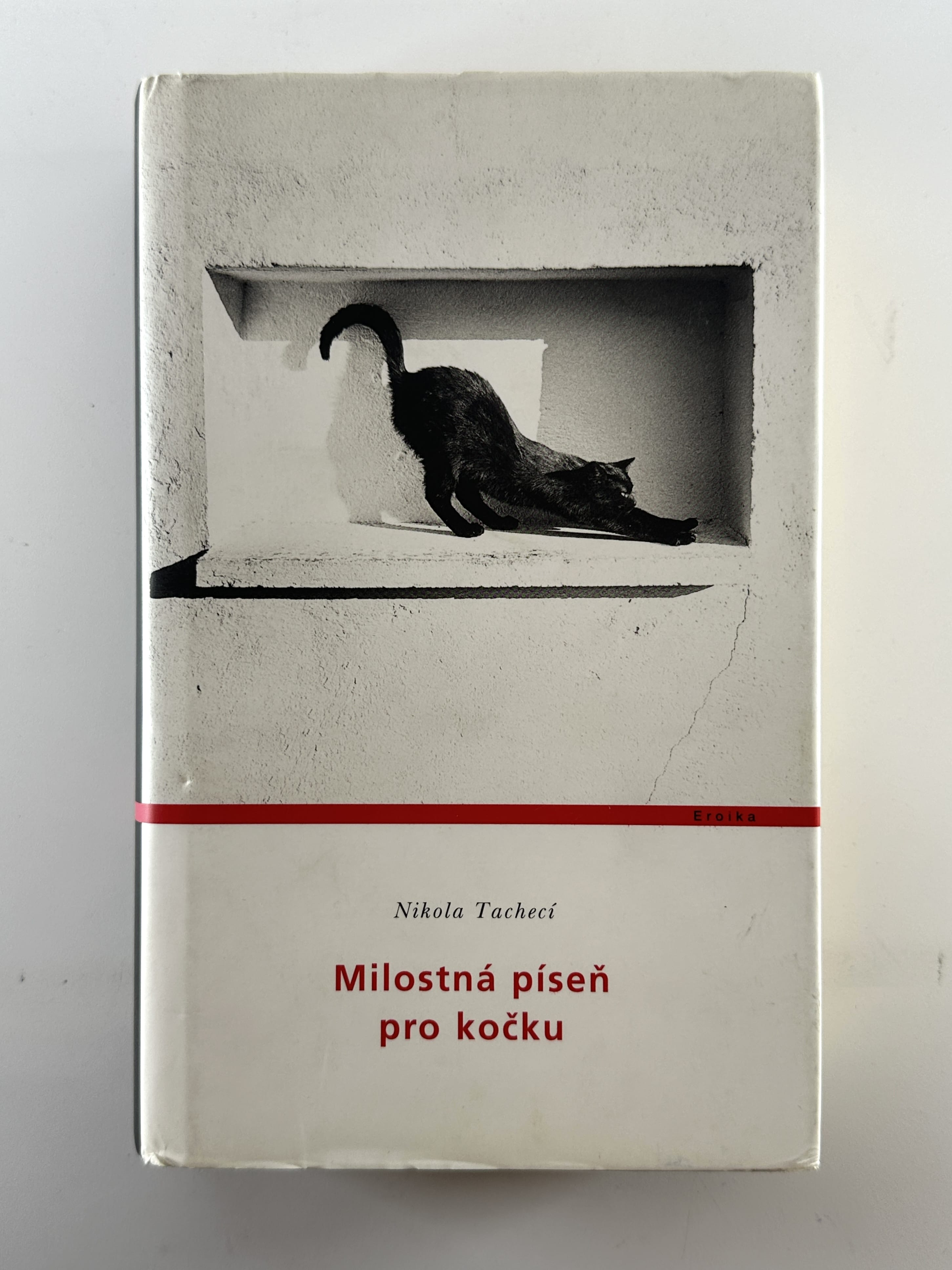 Milostná píseň pro kočku Pevná 2003