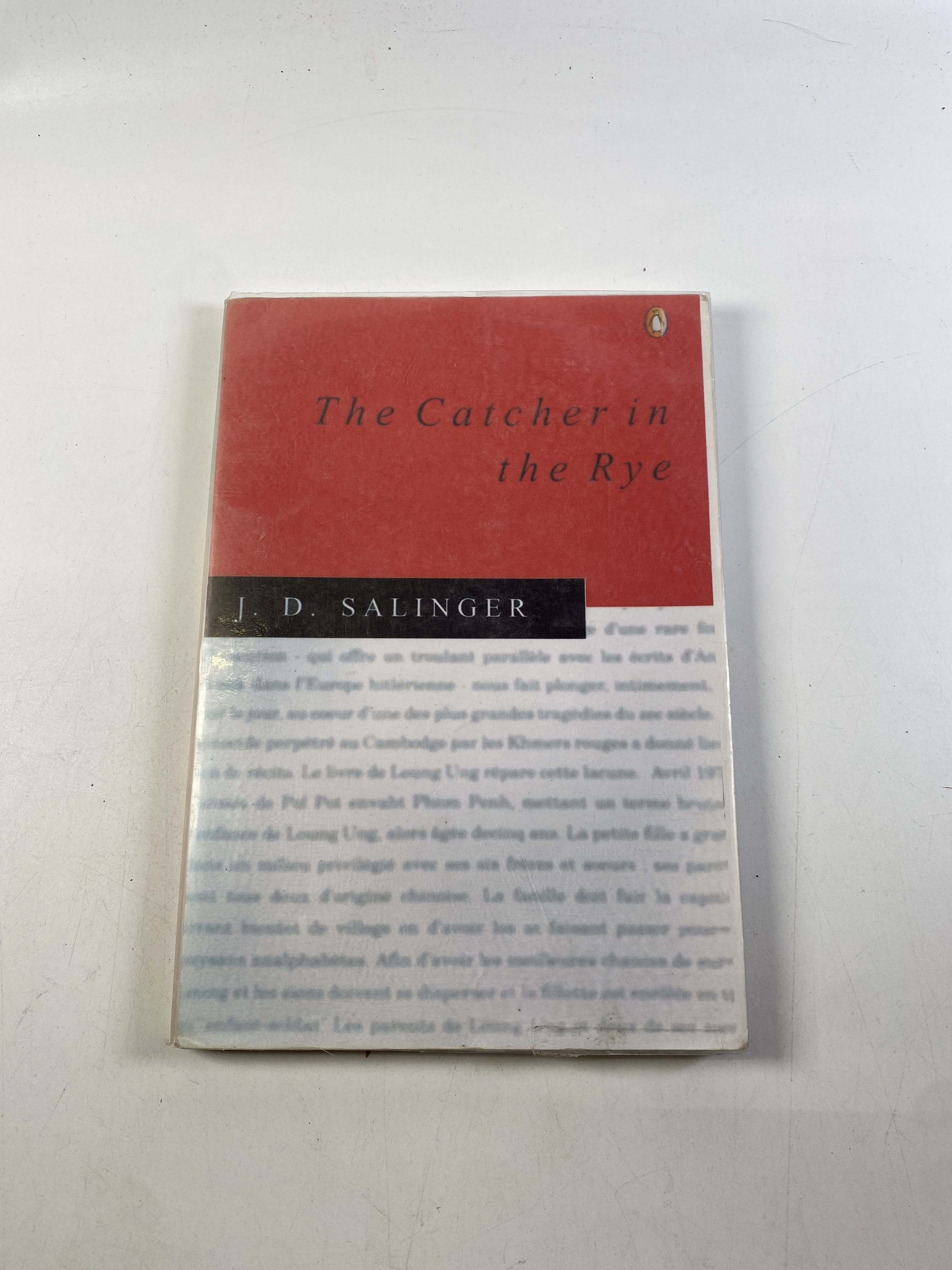 Levně The Catcher in the Rye Měkká 1994