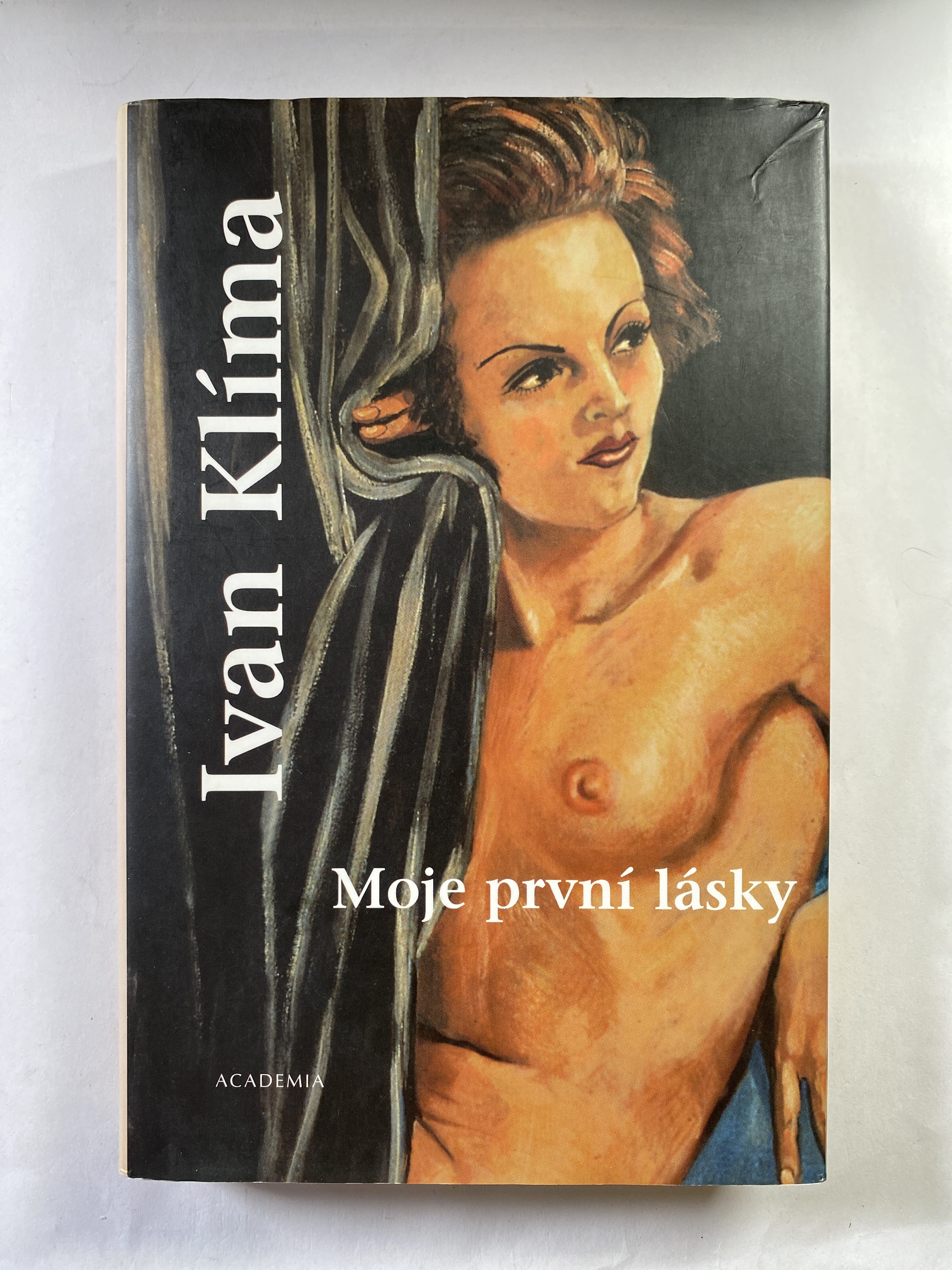 Levně Moje první lásky Pevná 2004