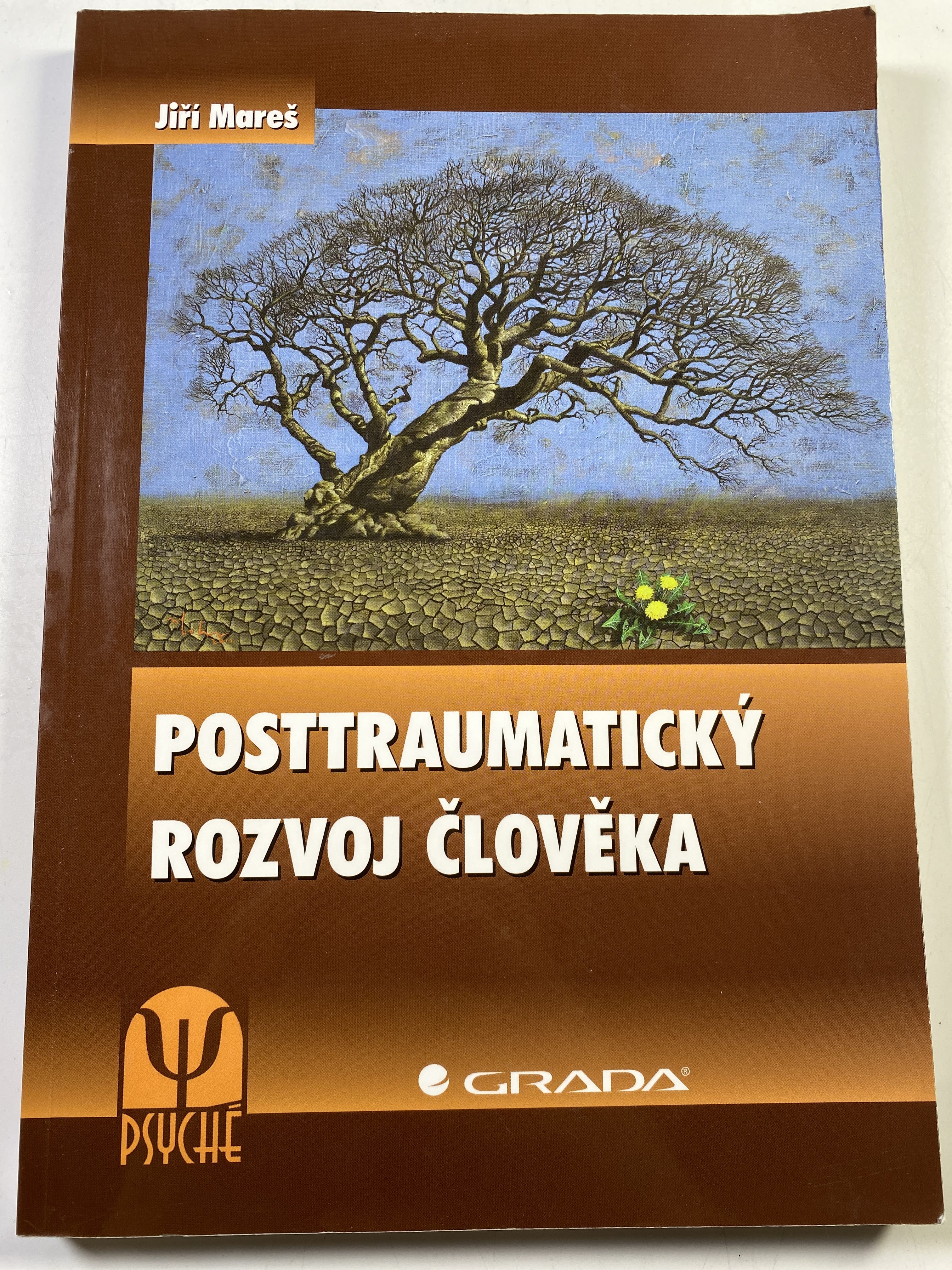 Levně Posttraumatický rozvoj člověka
