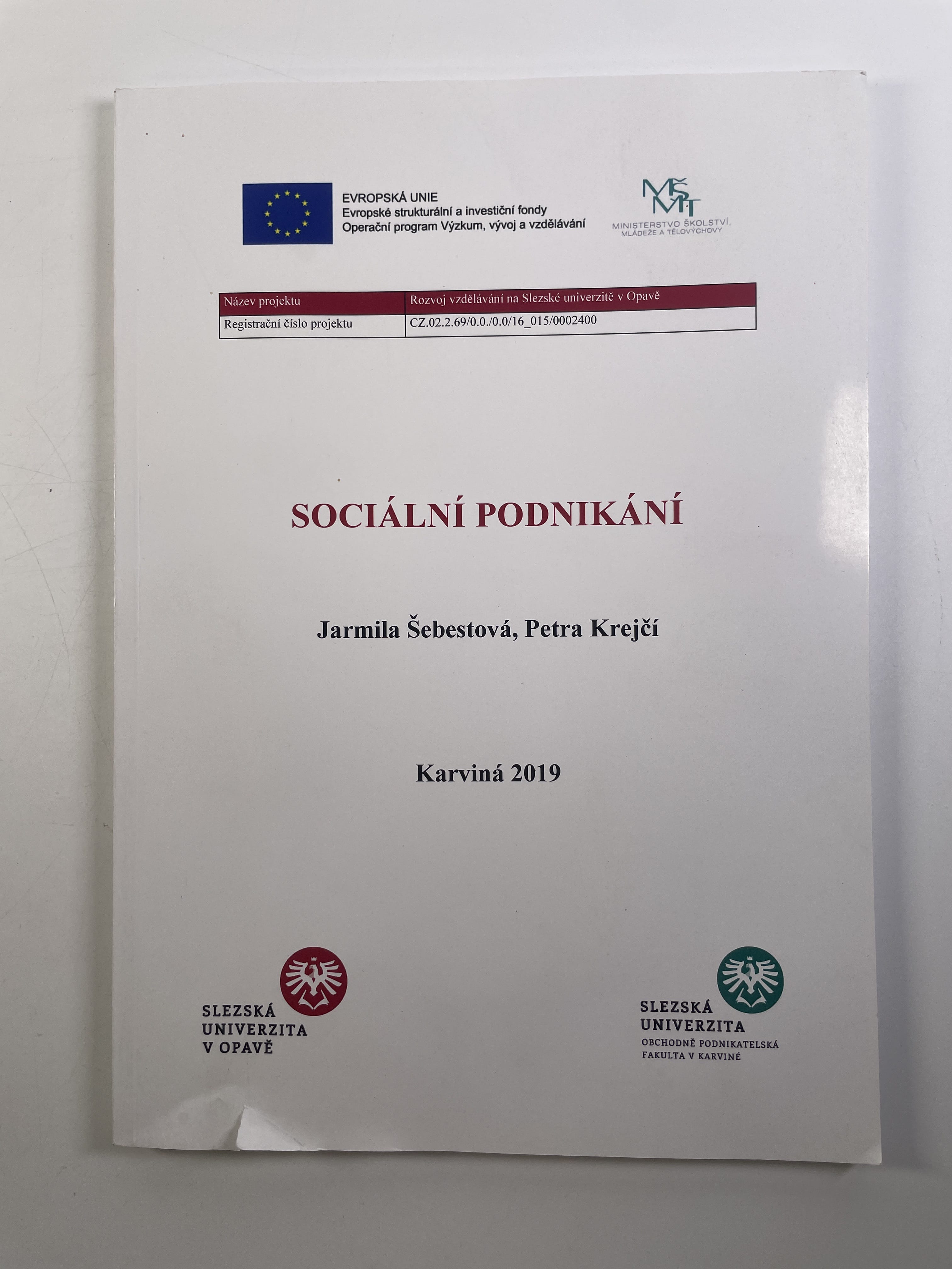 Levně Sociální podnikání Měkká