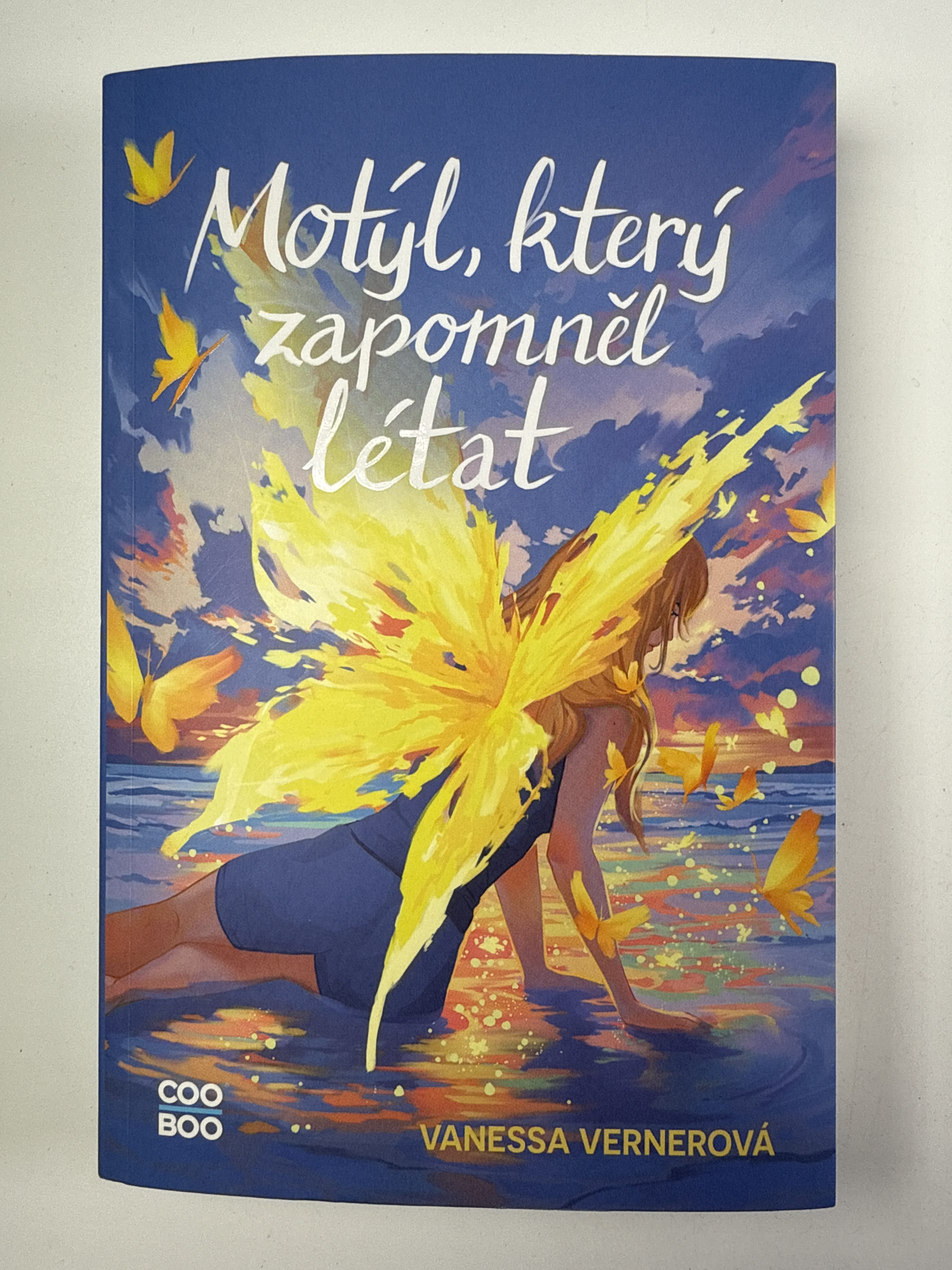 Levně Motýl, který zapomněl létat
