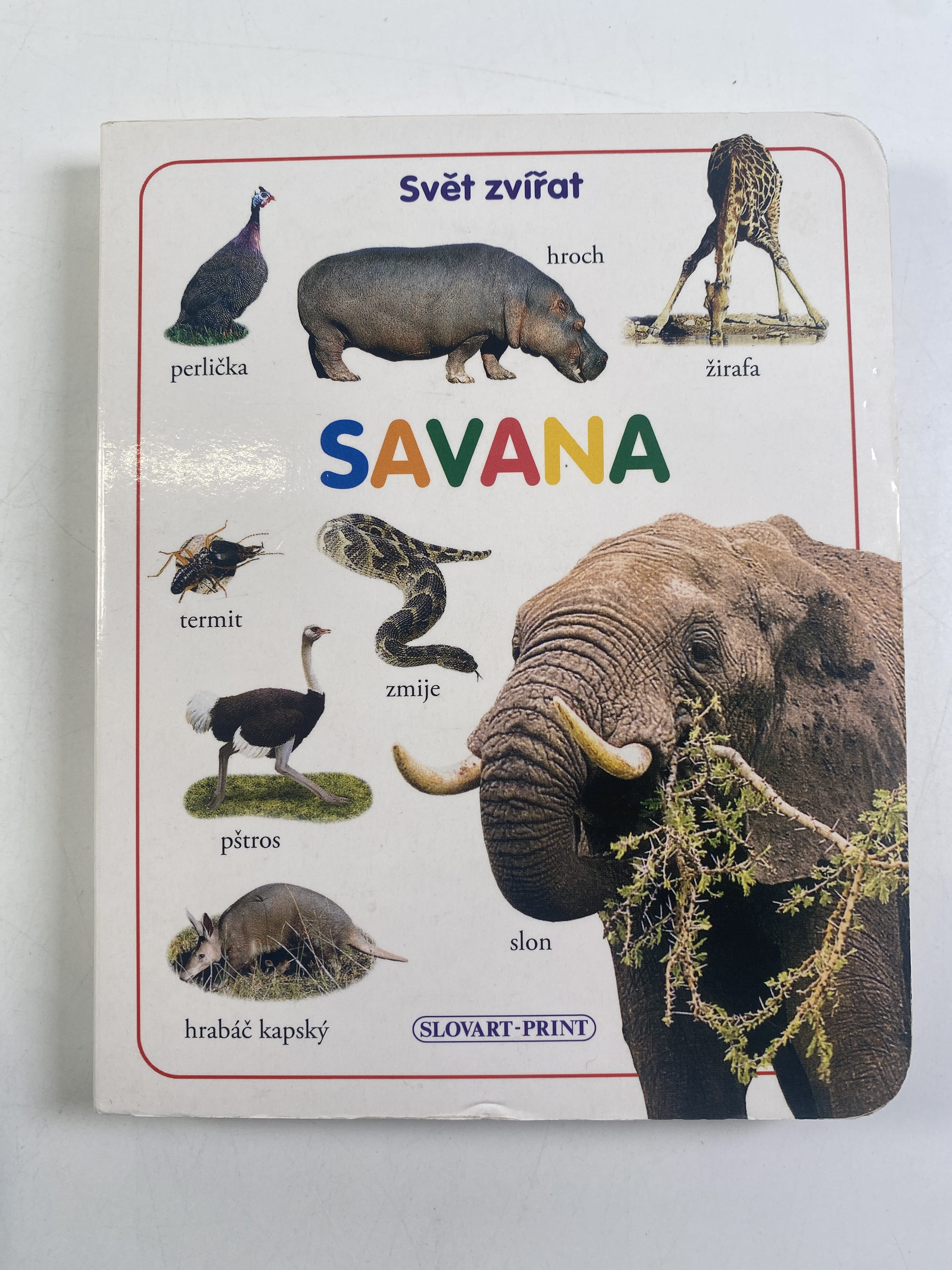 Levně Savana