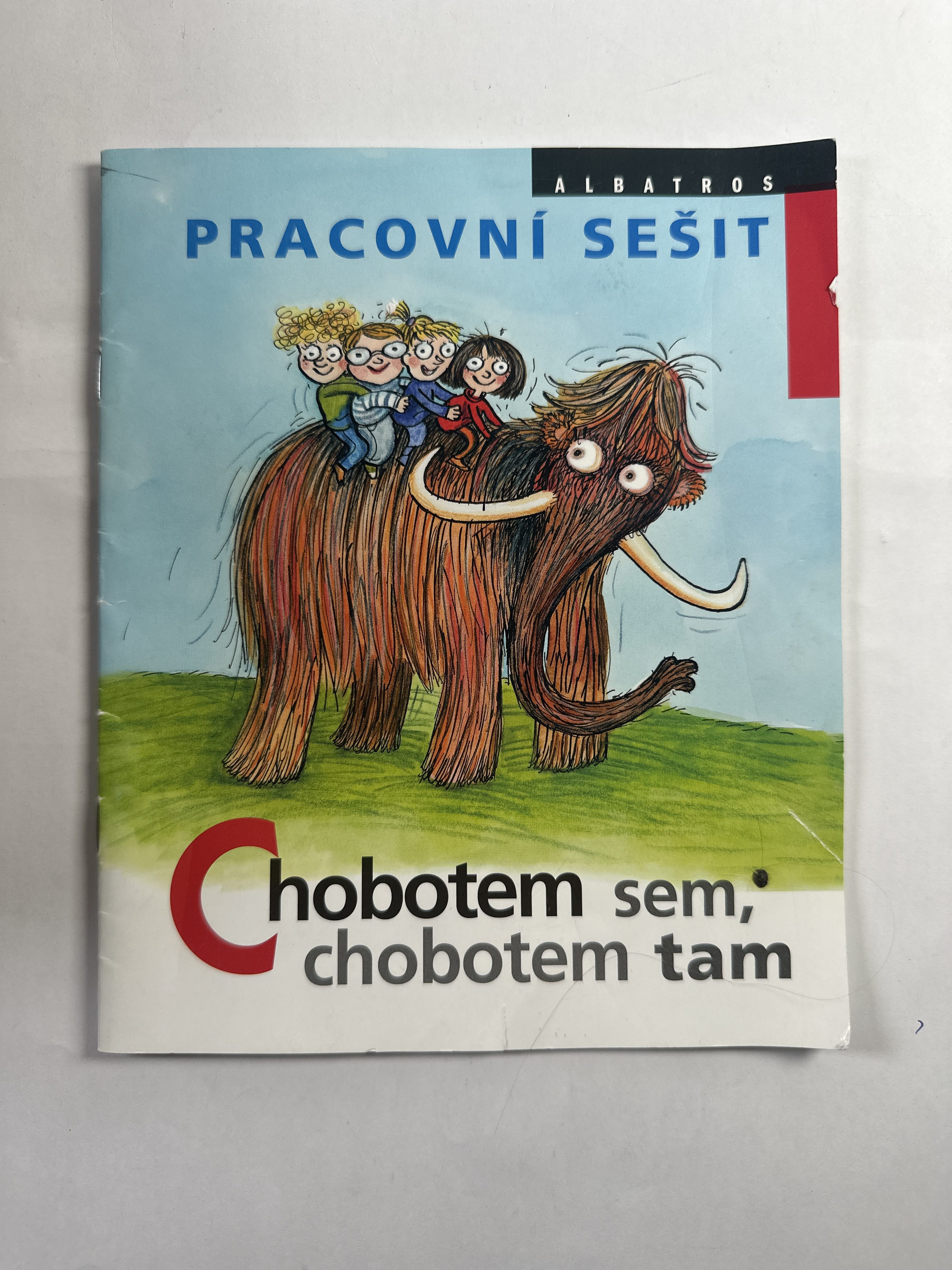 Levně Chobotem sem, chobotem tam Pevná (2019)