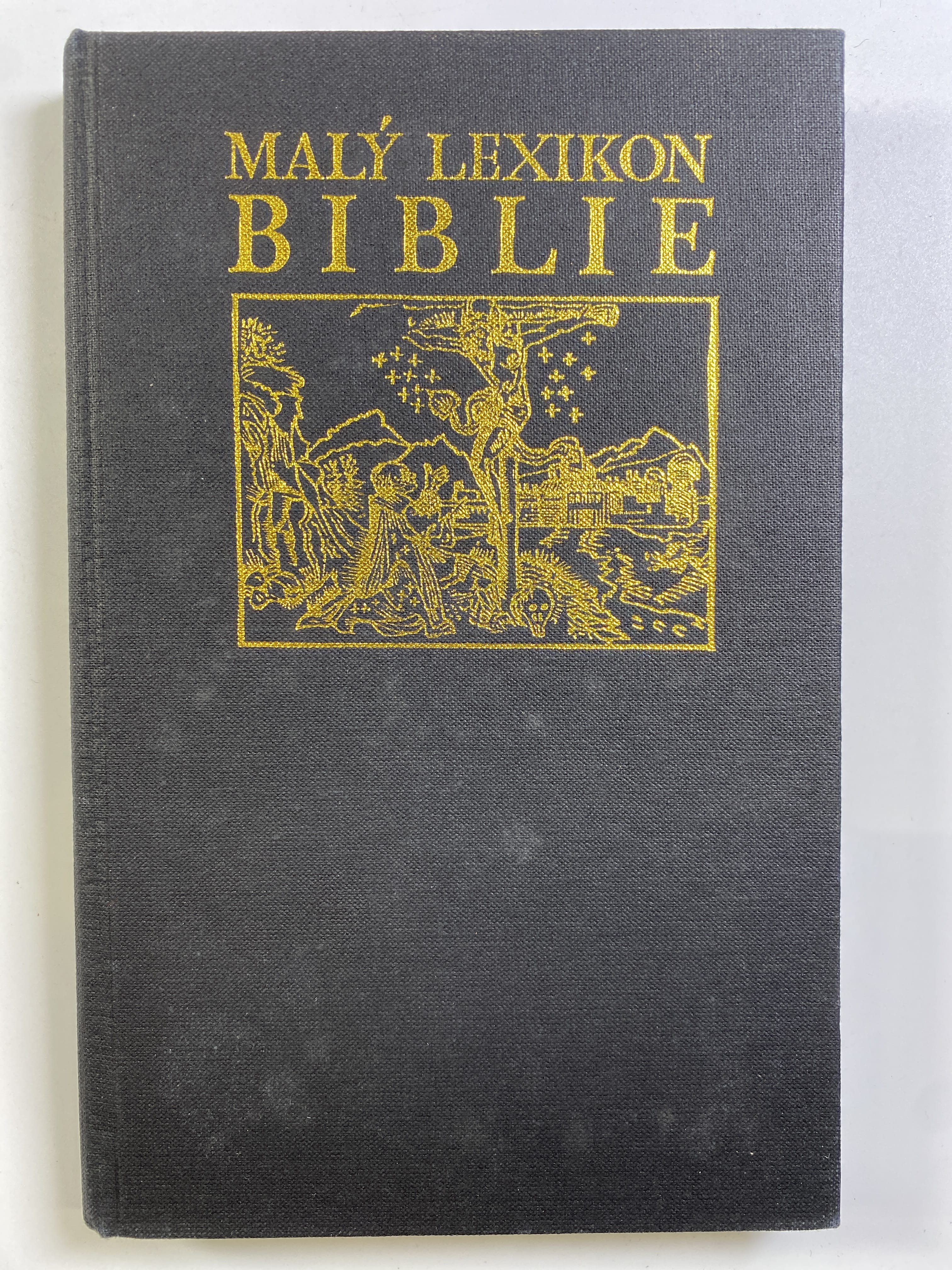 Malý lexikon Bible (bez obalu)