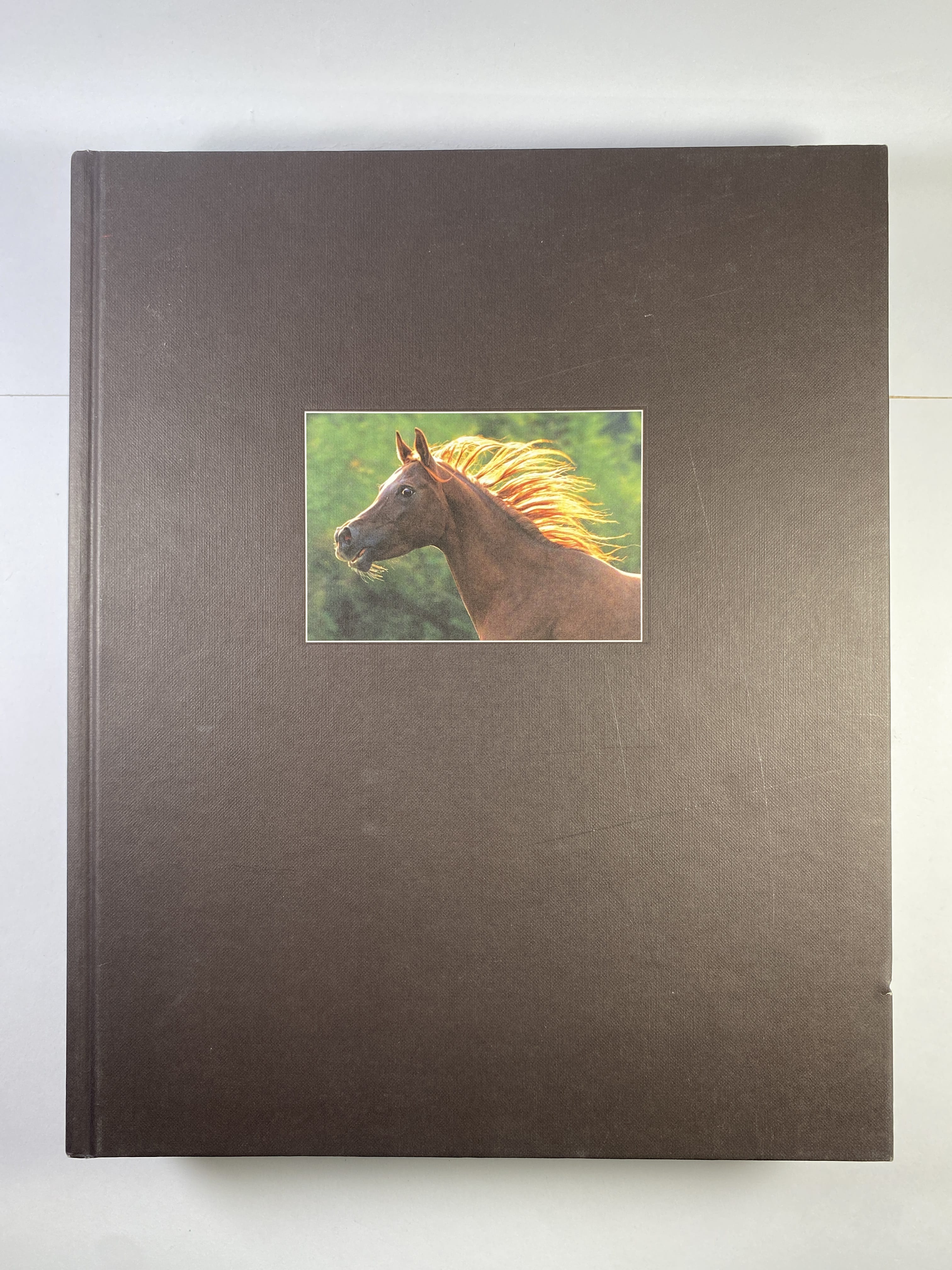 Levně The World of Free Horses (bez obalu)