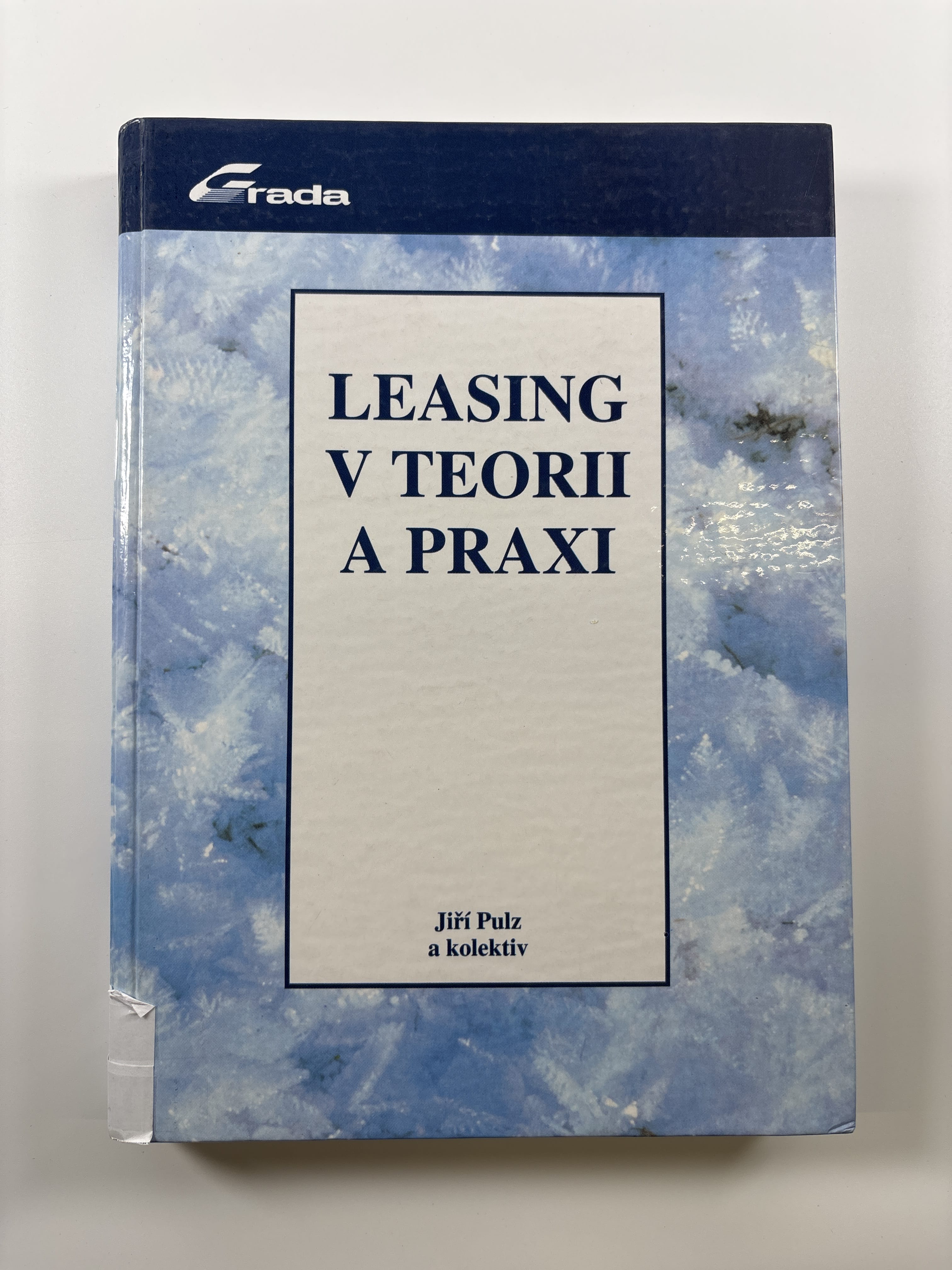 Levně Leasing v teorii a praxi