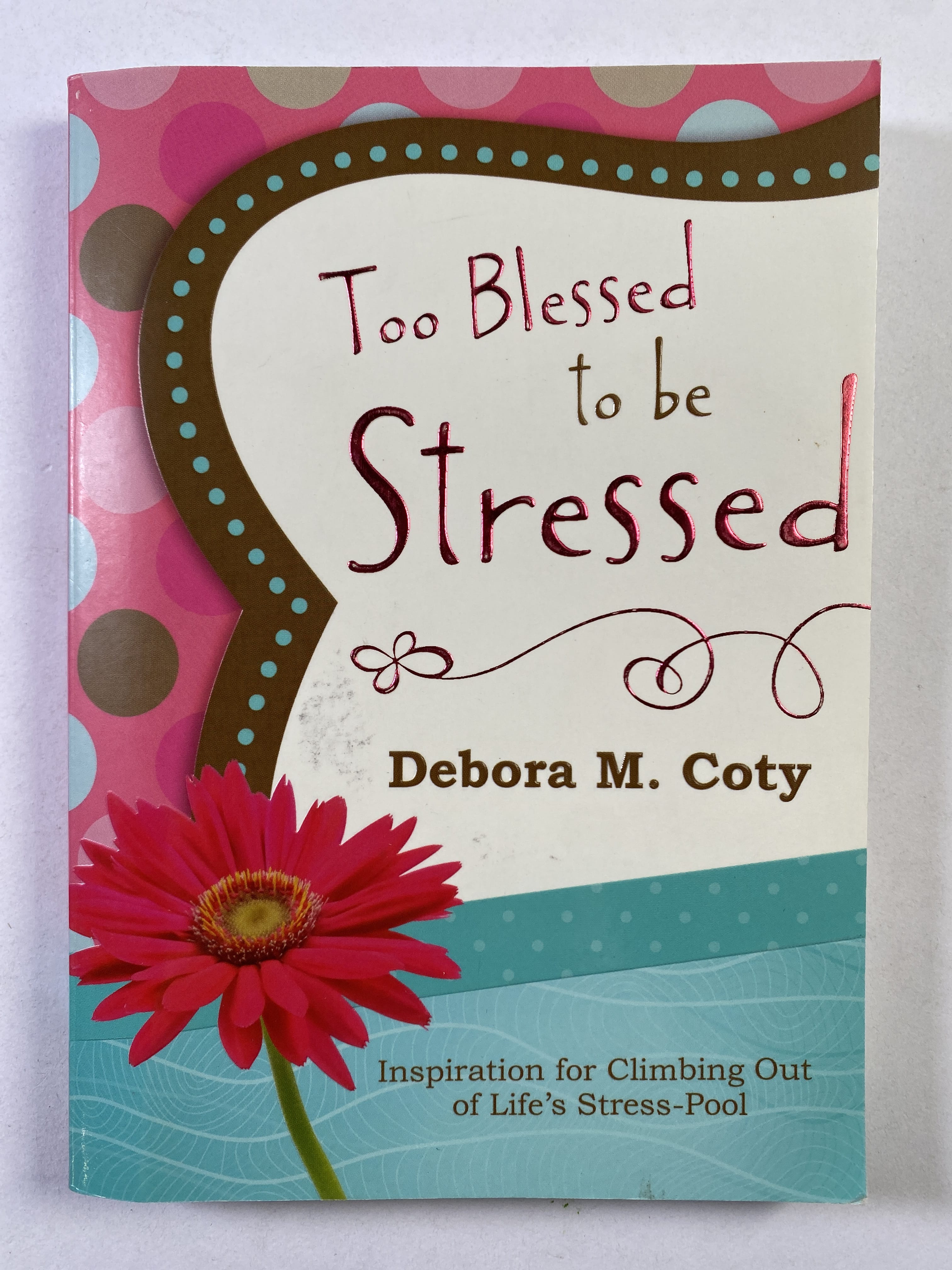 Too Blessed to be Stressed