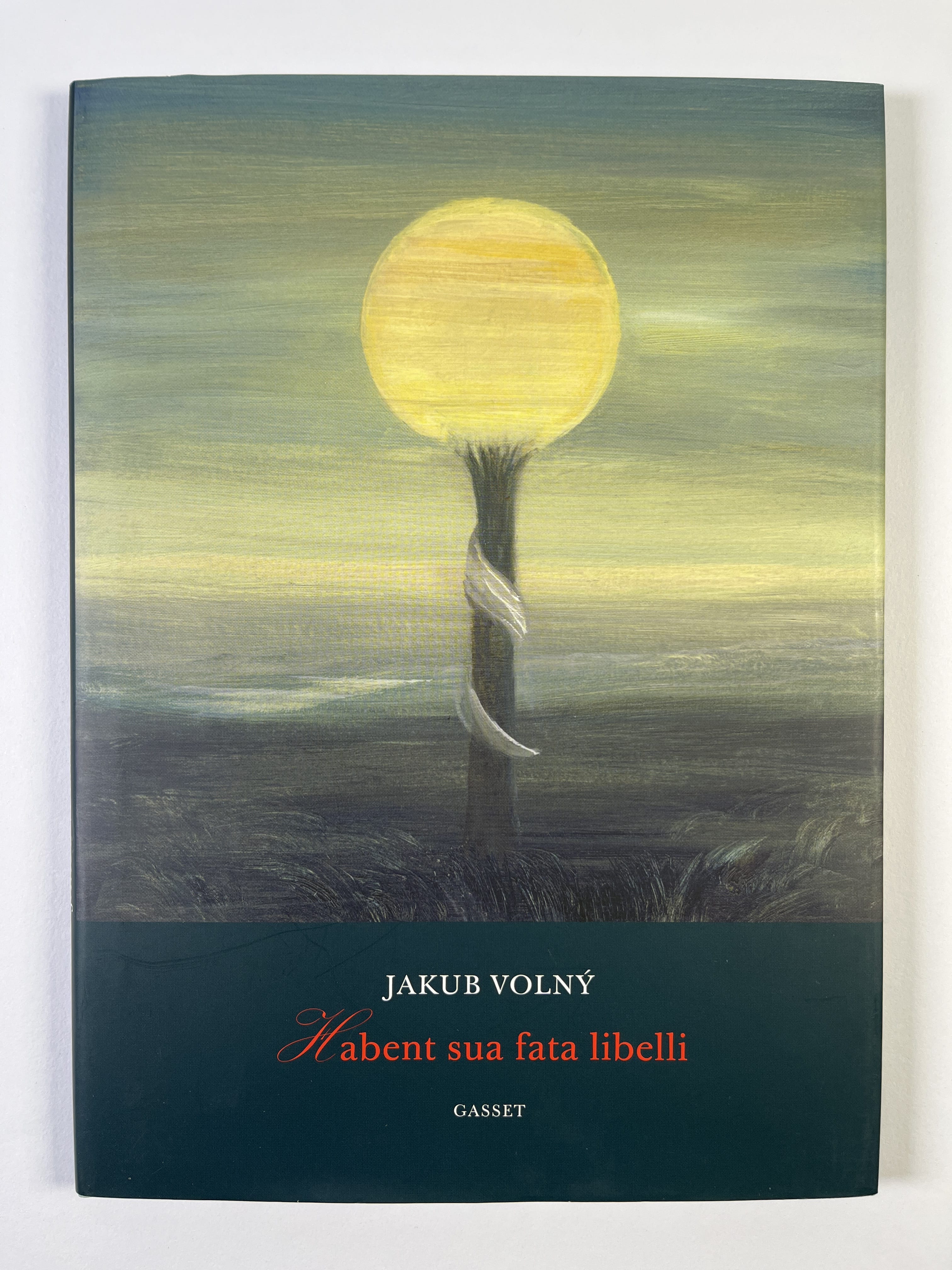 Habent sua fata libelli