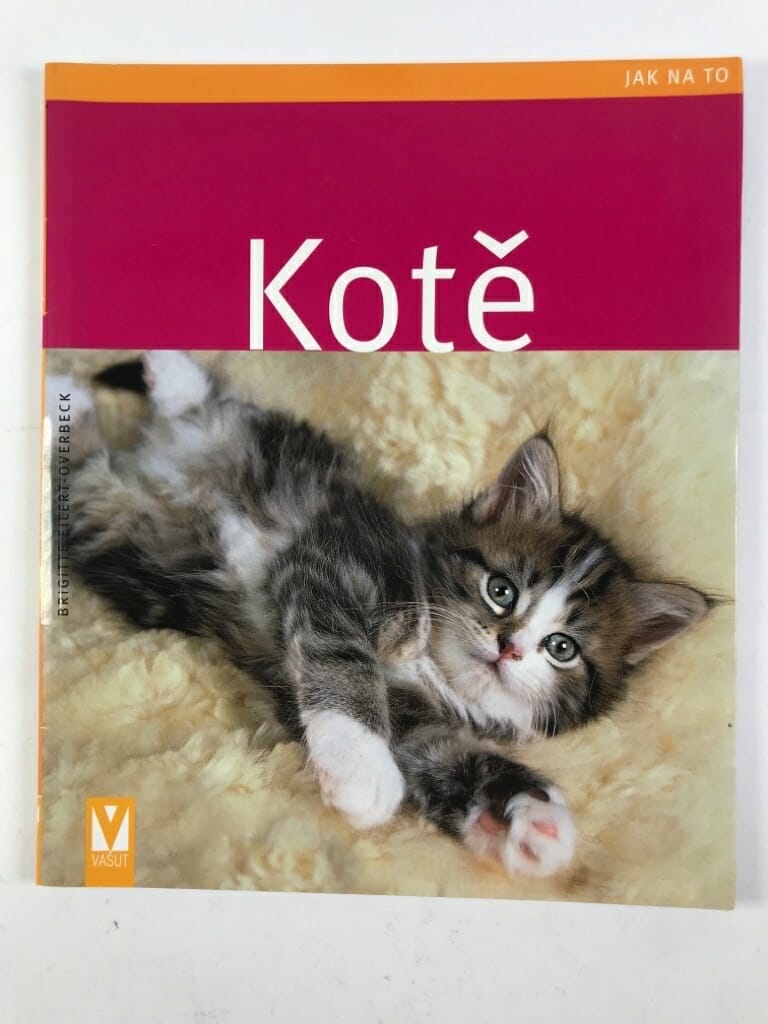 Levně Kotě Měkká 2017