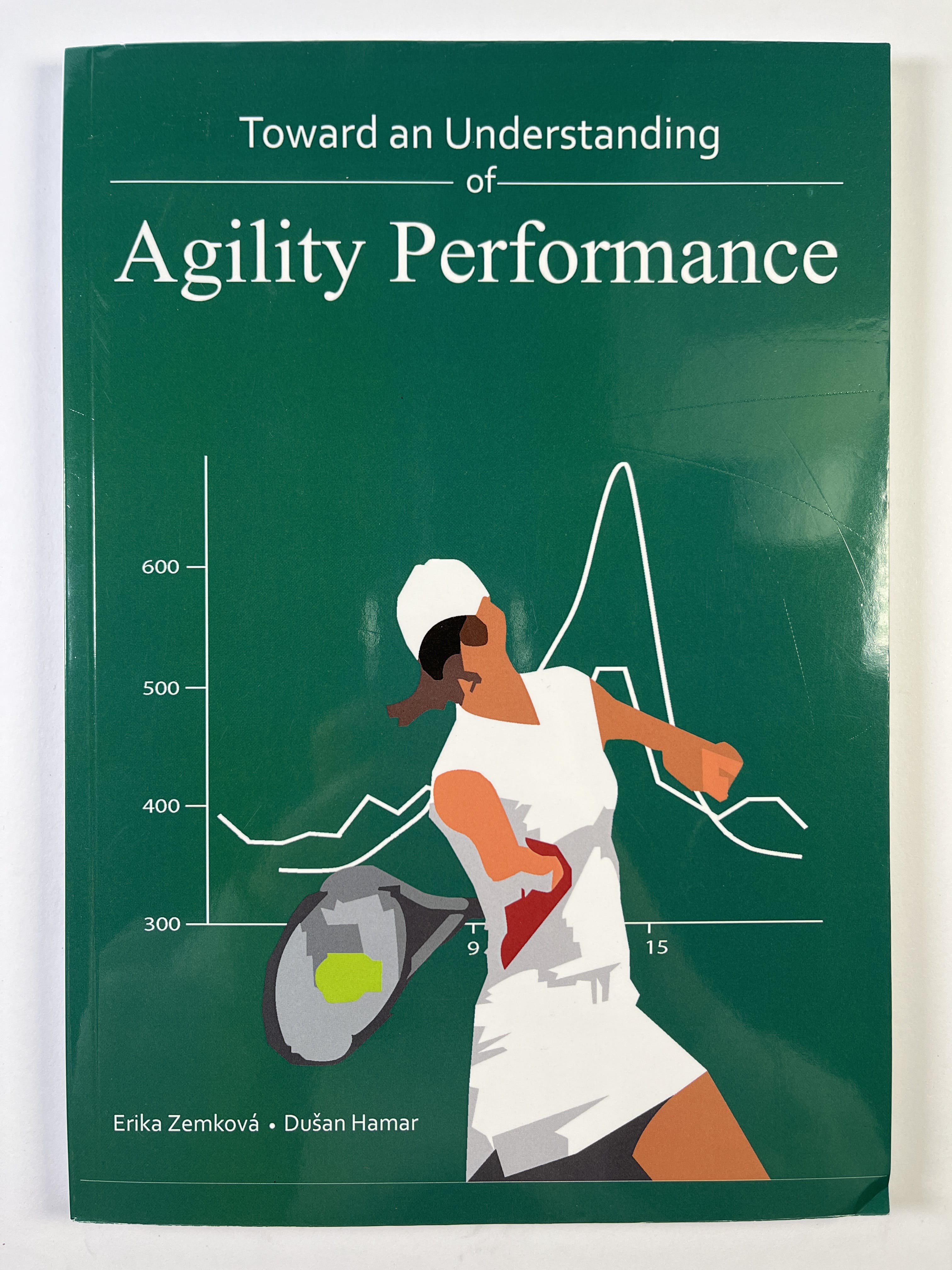 Levně Toward an Understanding of Agility Performance