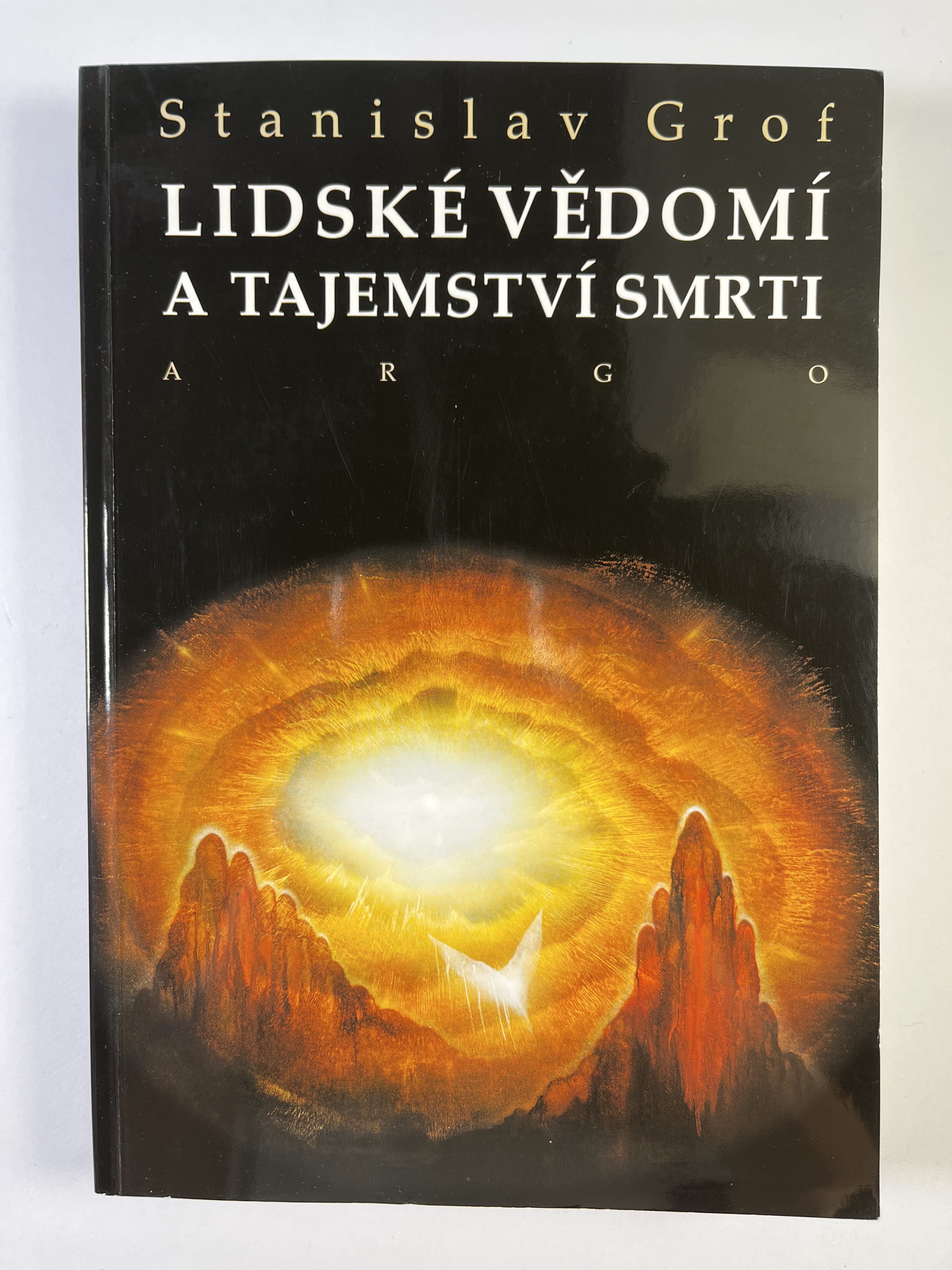 Levně Lidské vědomí a tajemství smrti Měkká 2017