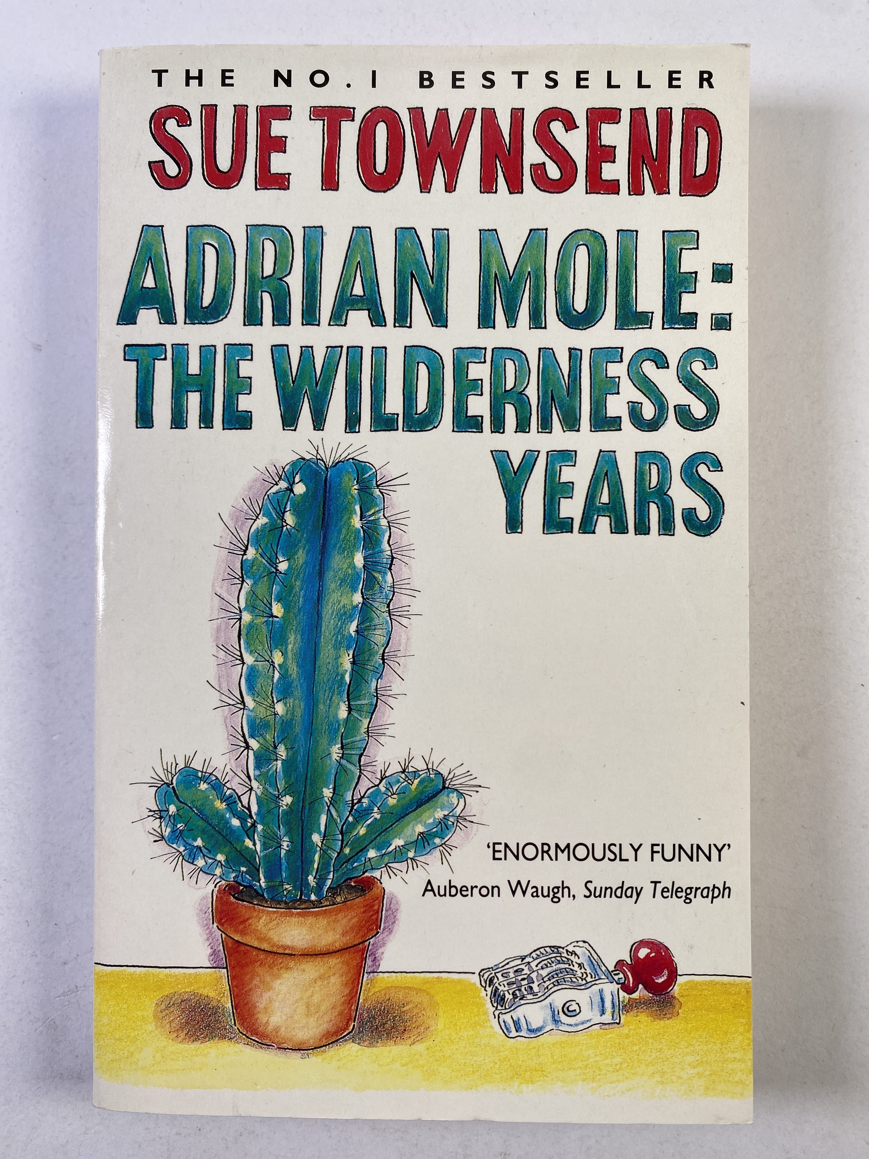 Levně Adrian Mole: The Wilderness Years (4) Měkká (2001)