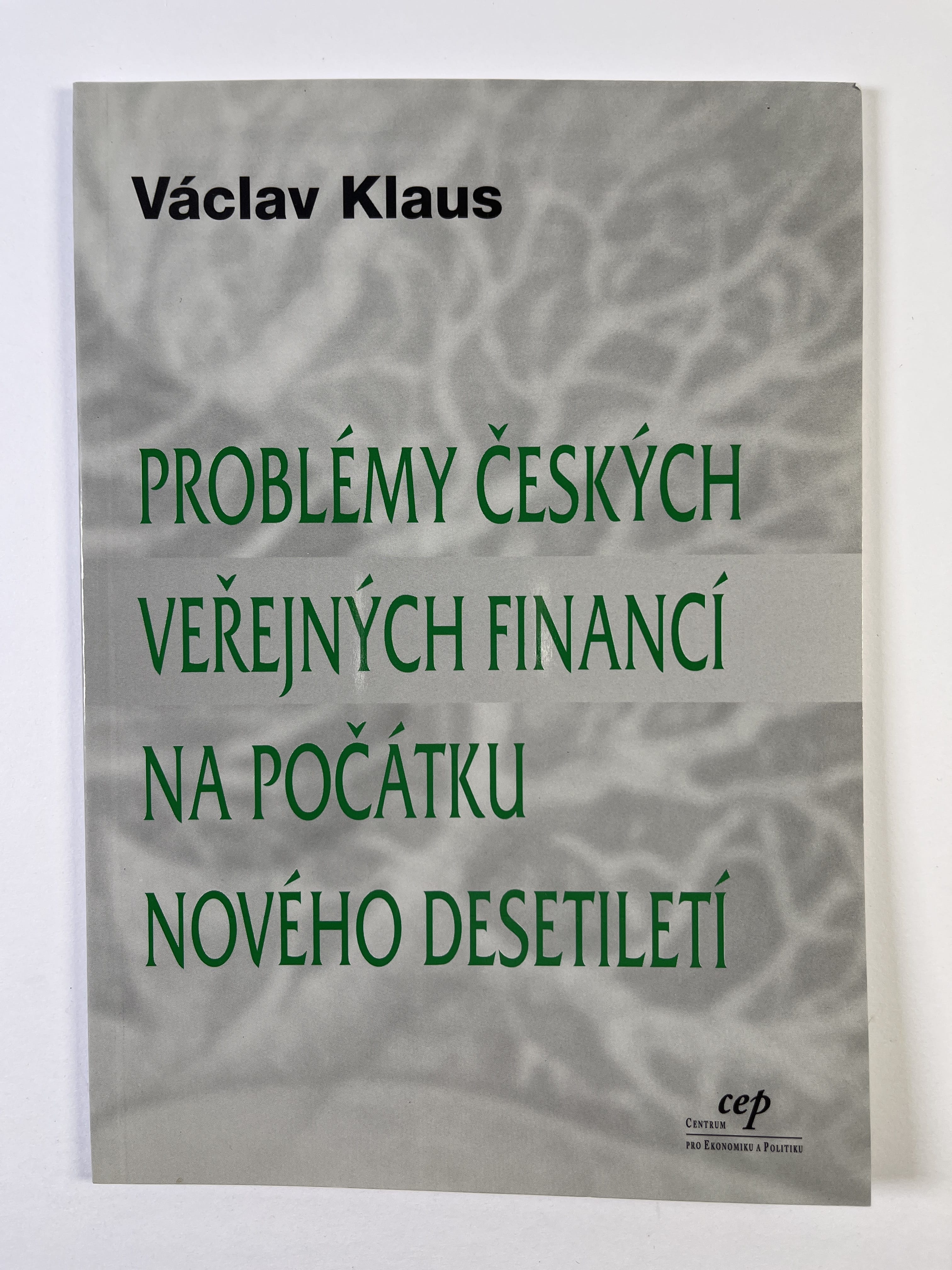 Problémy českých veřejných financí na počátku nového desetiletí