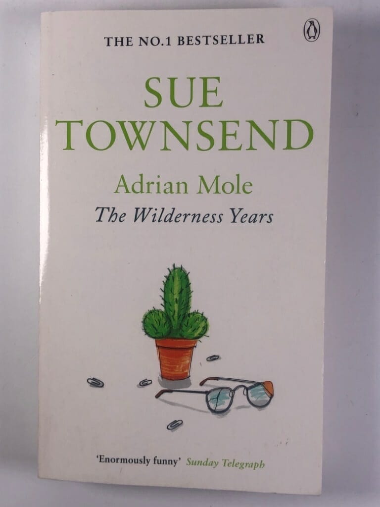 Levně Adrian Mole: The Wilderness Years (4) Měkká