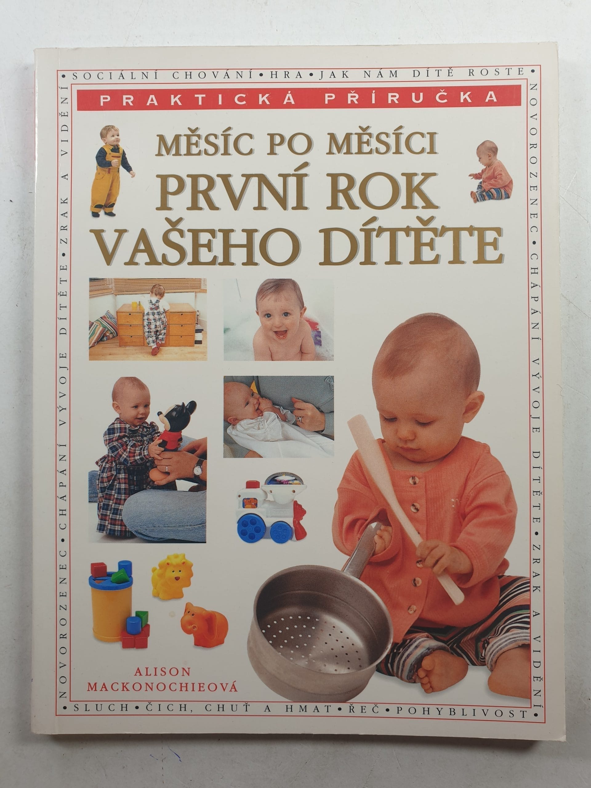 Levně První rok vašeho dítěte: měsíc po měsíci Měkká 2001