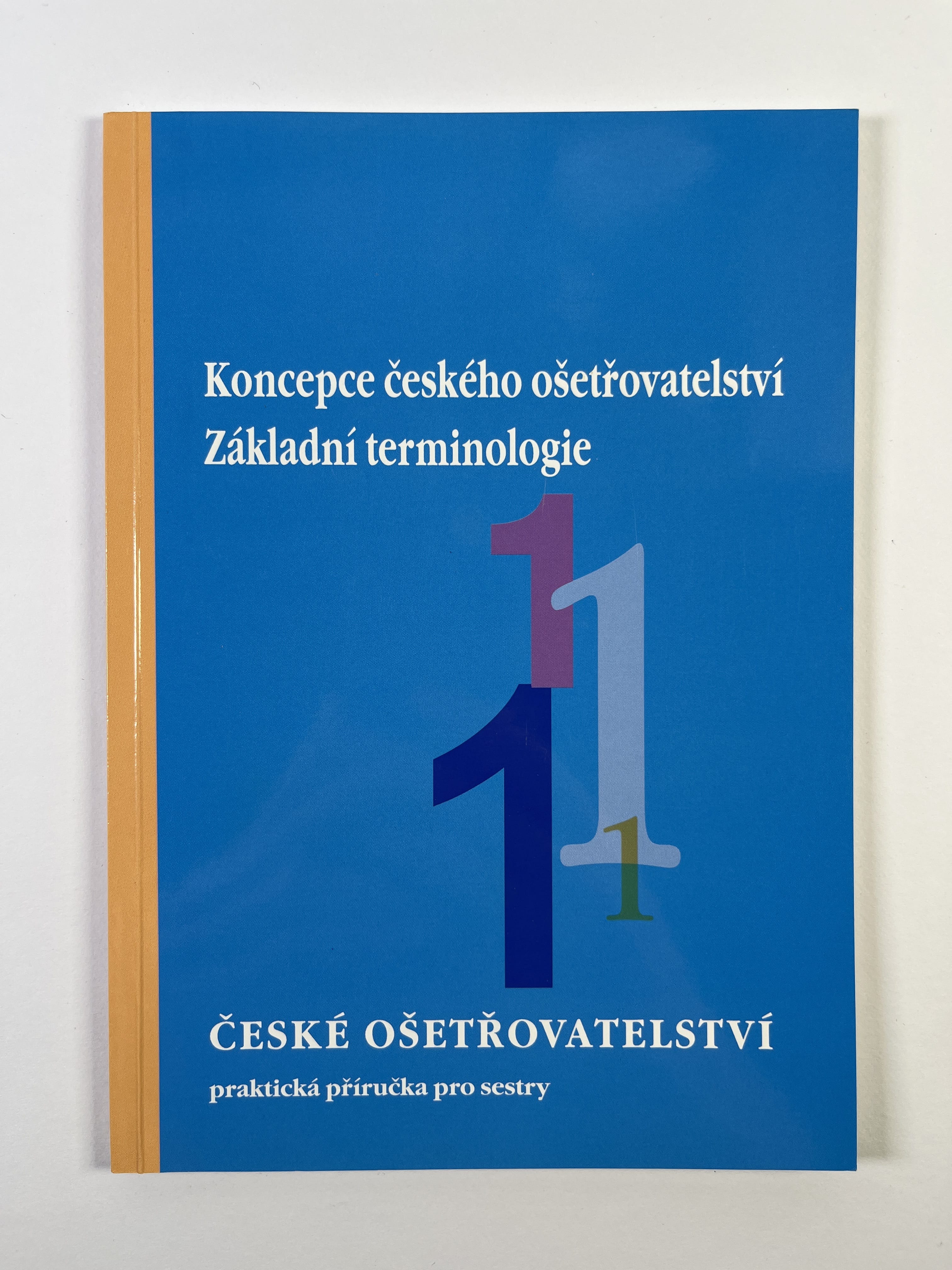 Levně Koncepce českého ošetřovatelství: základní terminologie