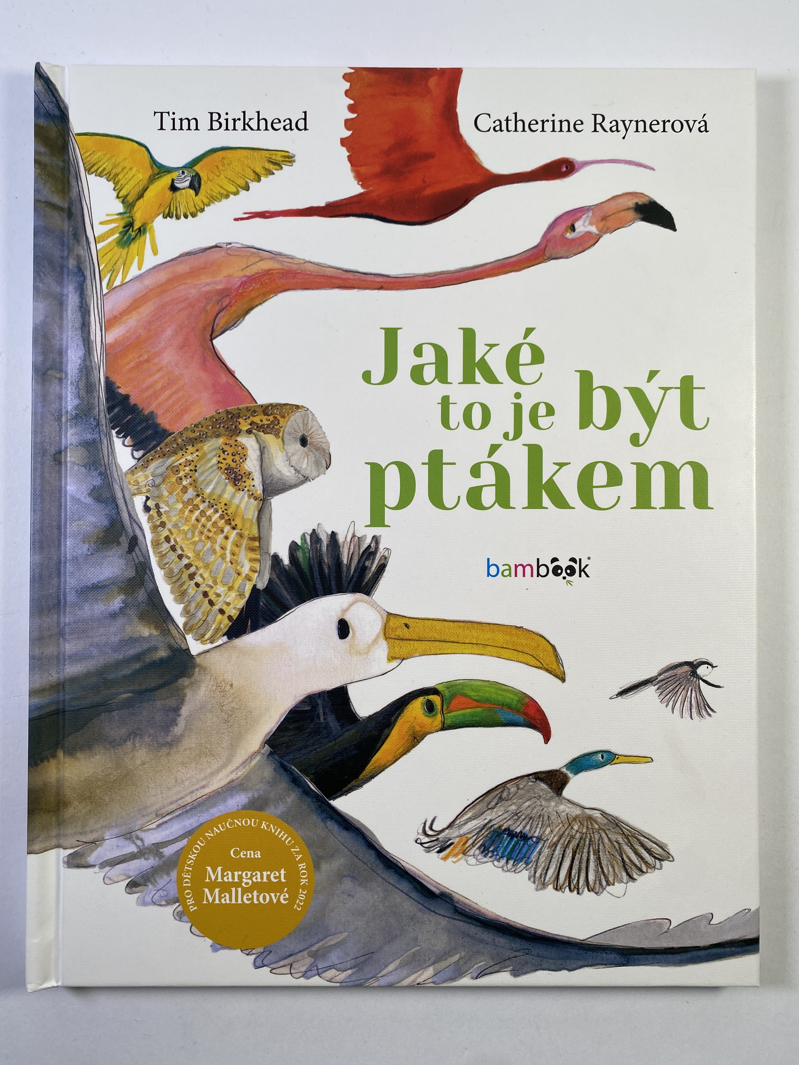 Levně Jaké to je být ptákem