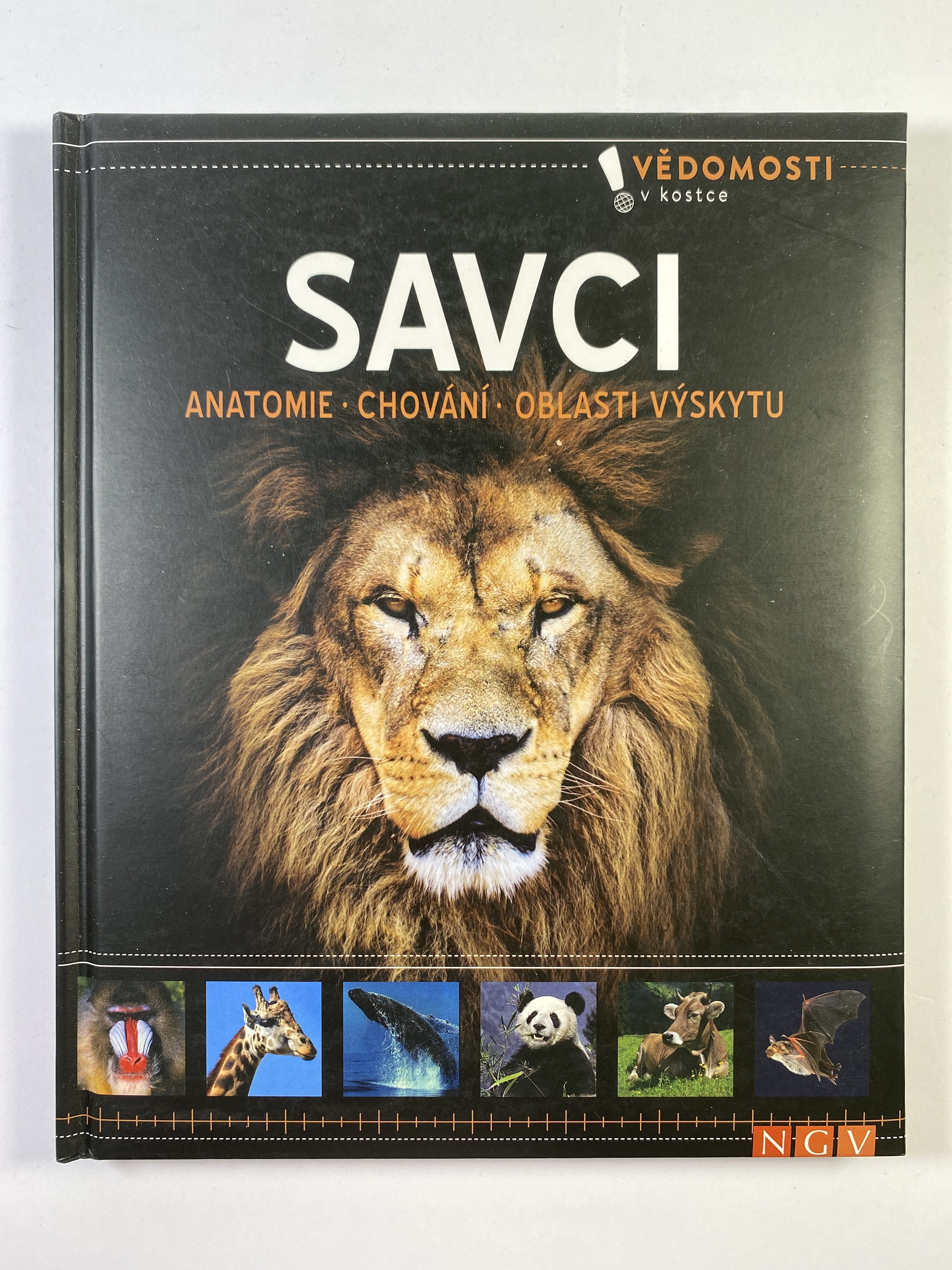 Levně Savci. Anatomie, chování, oblasti výskytu Pevná 4