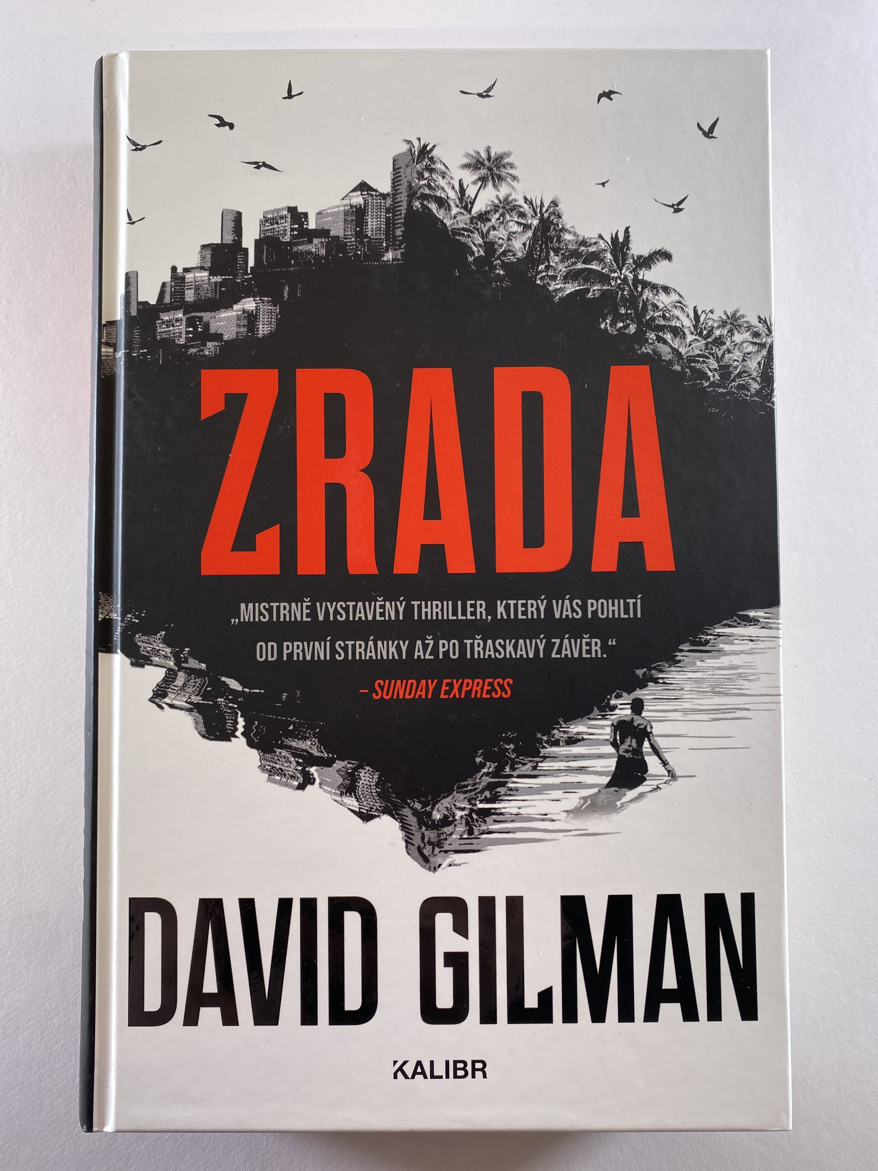 Levně Angličan: Zrada (2)