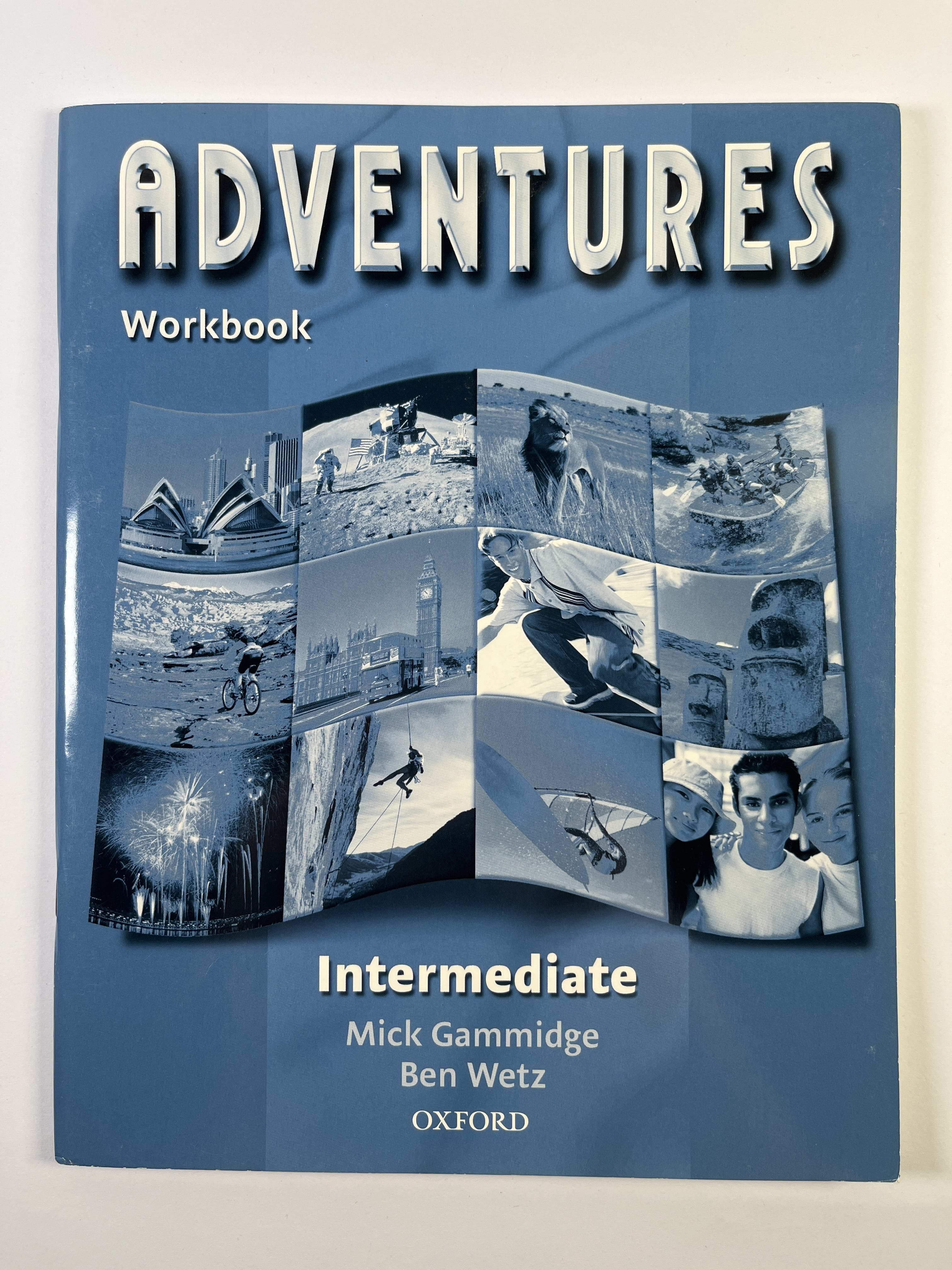 Levně Adventures Intermediate: Workbook