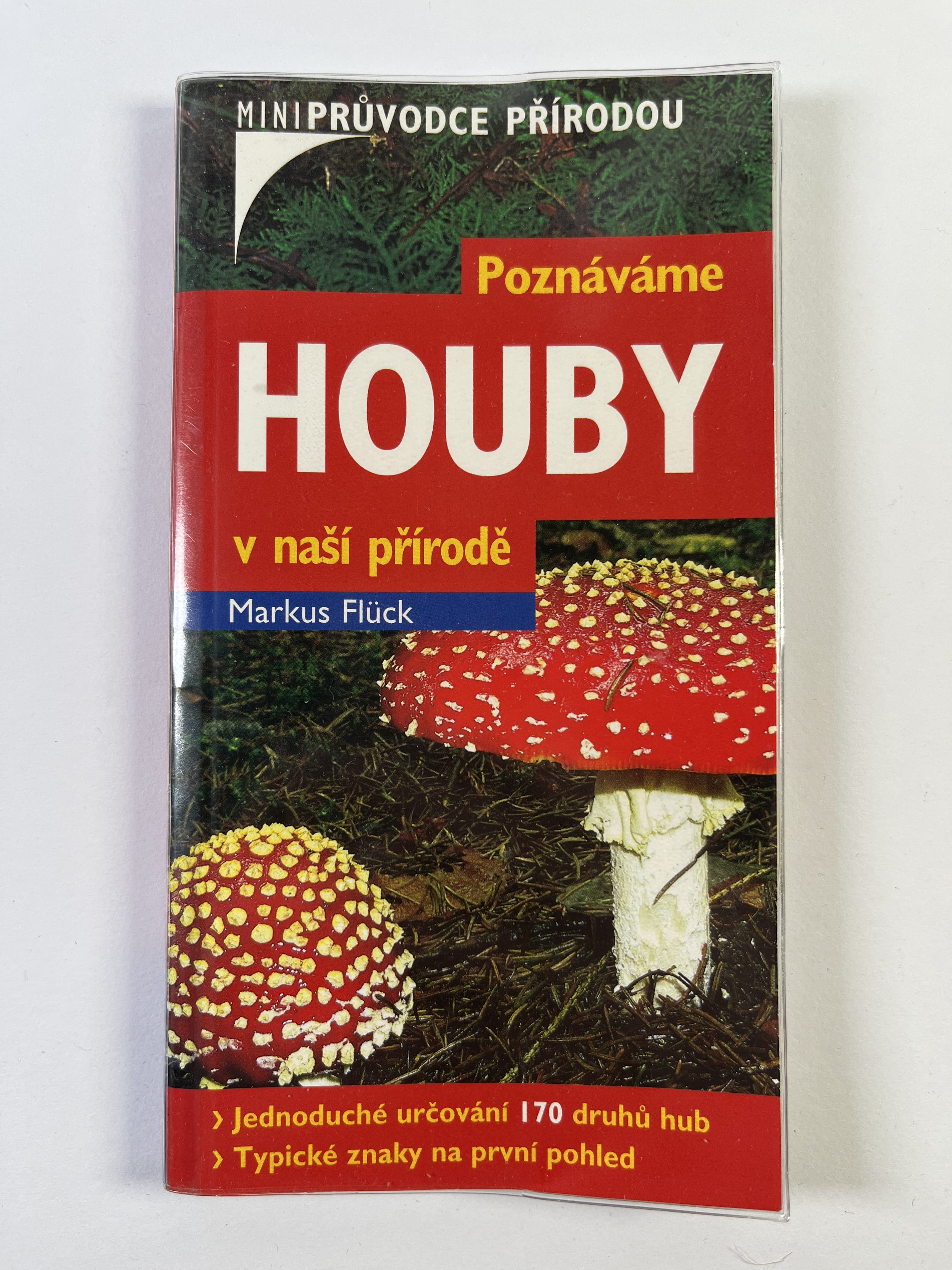 Poznáváme houby v naší přírodě