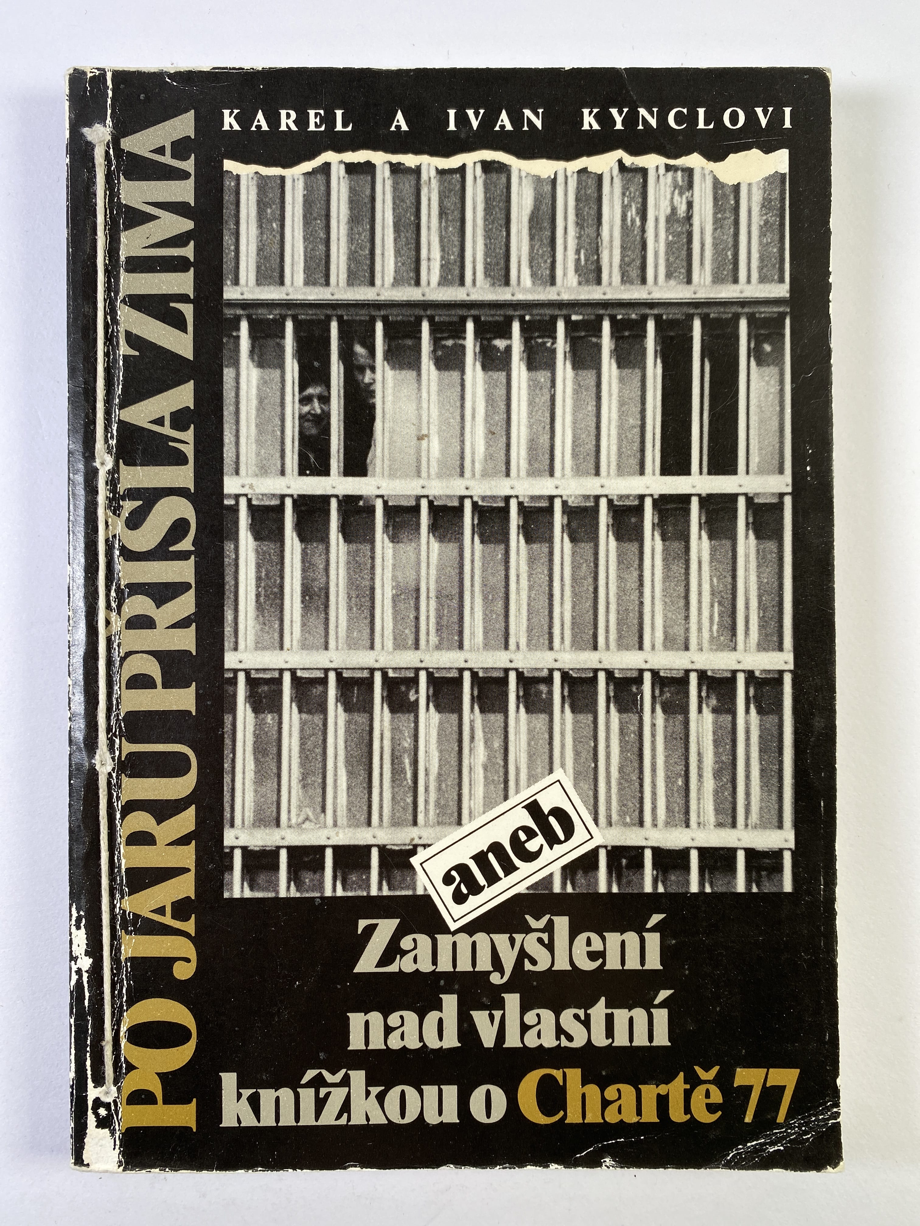 Levně Po jaru přišla zima, aneb, Zamyšlení nad vlastní knížkou o Chartě 77