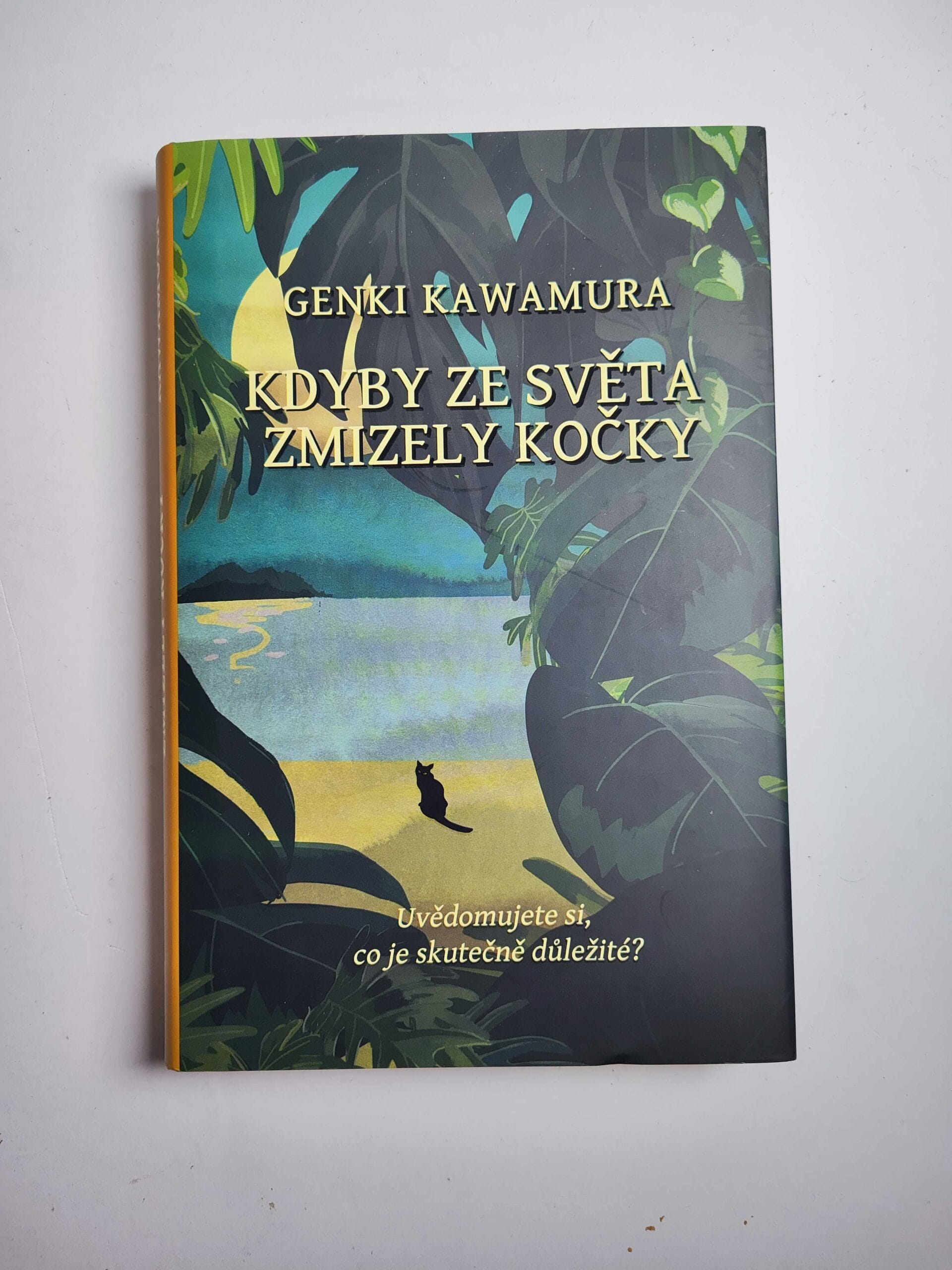 Kdyby ze světa zmizely kočky Pevná