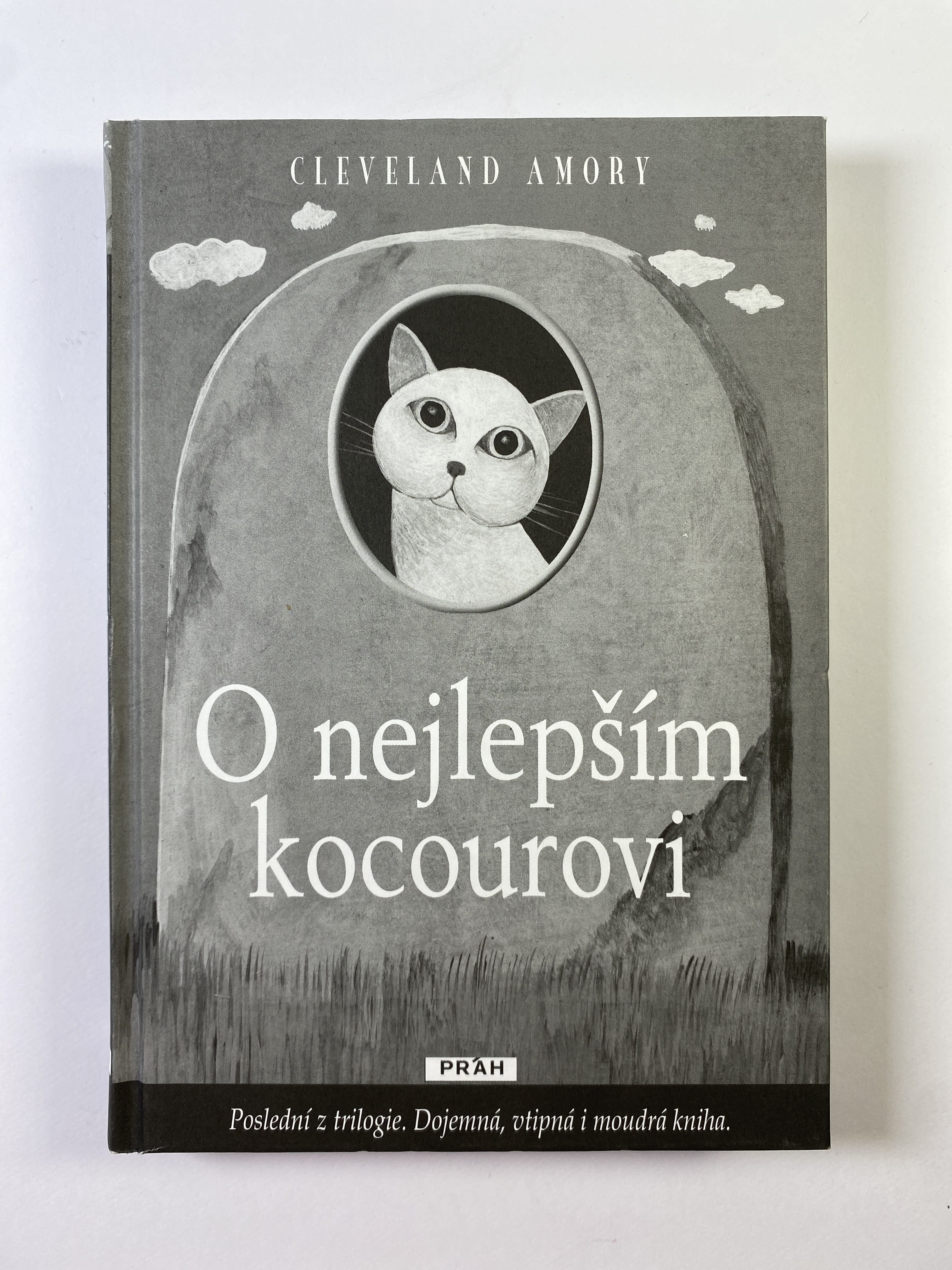 O nejlepším kocourovi Pevná (bez obalu)