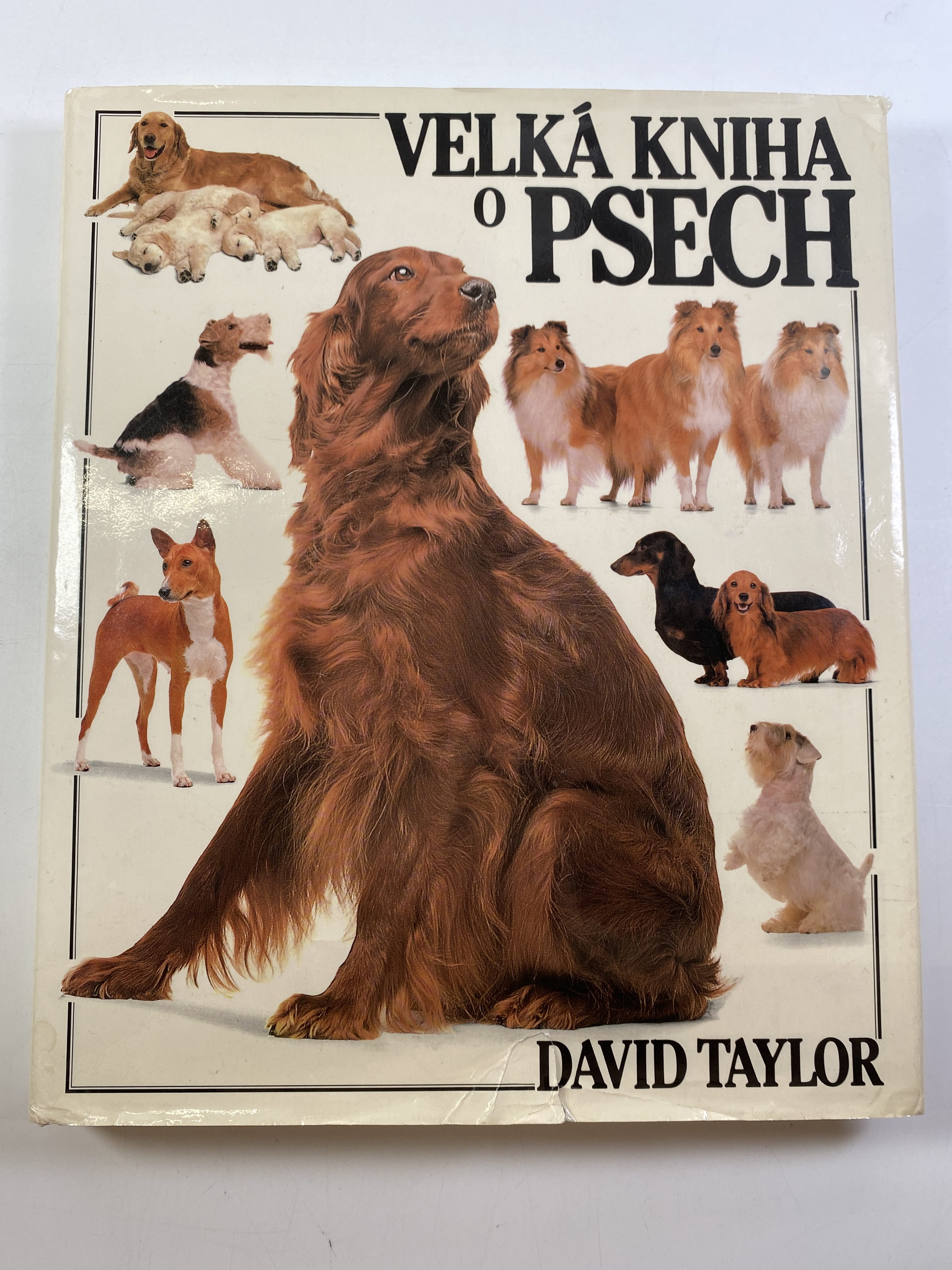 Levně Velká kniha o psech Měkká 1992