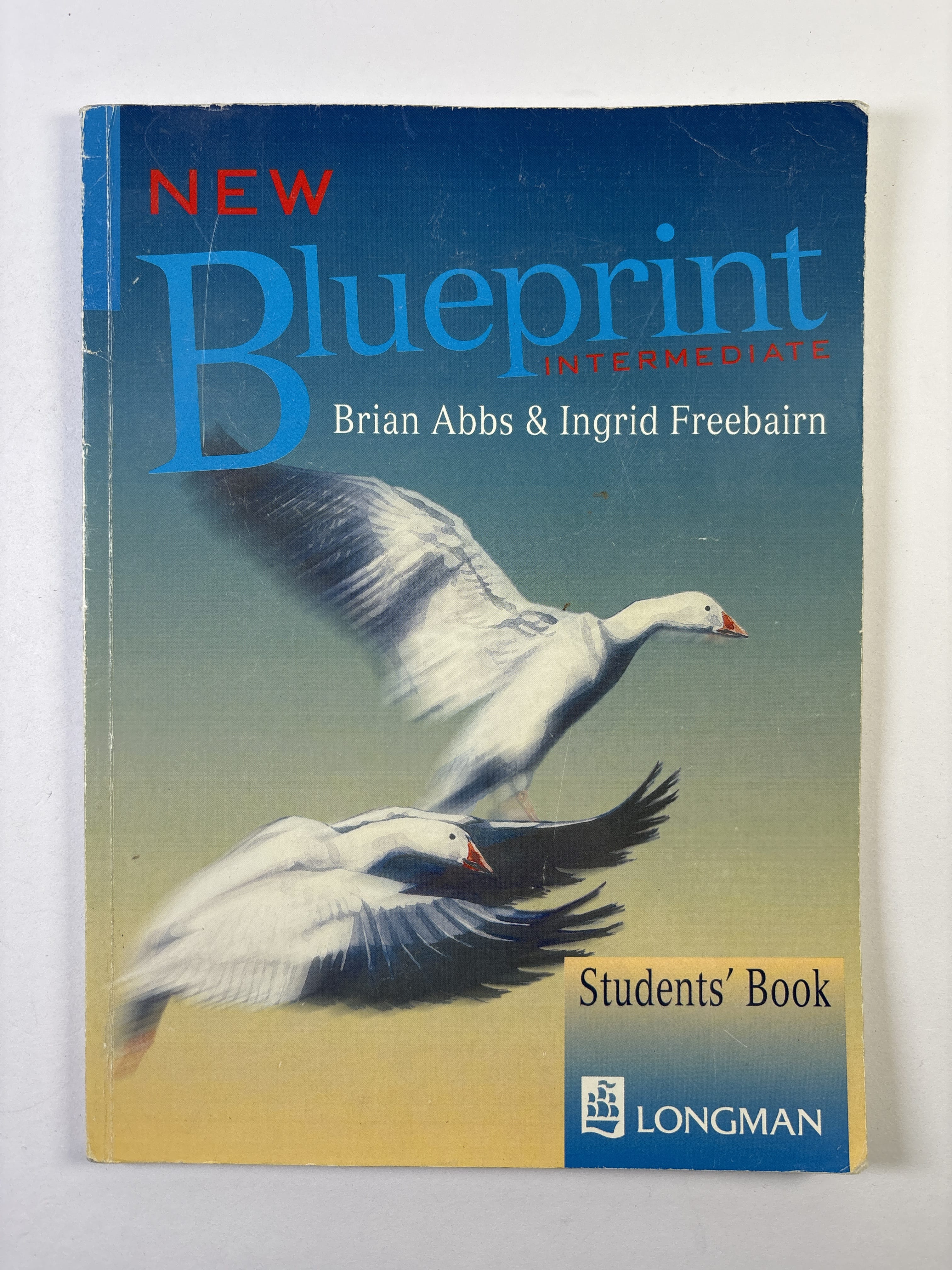 Levně New Blueprint - Intermediate Student’s Book
