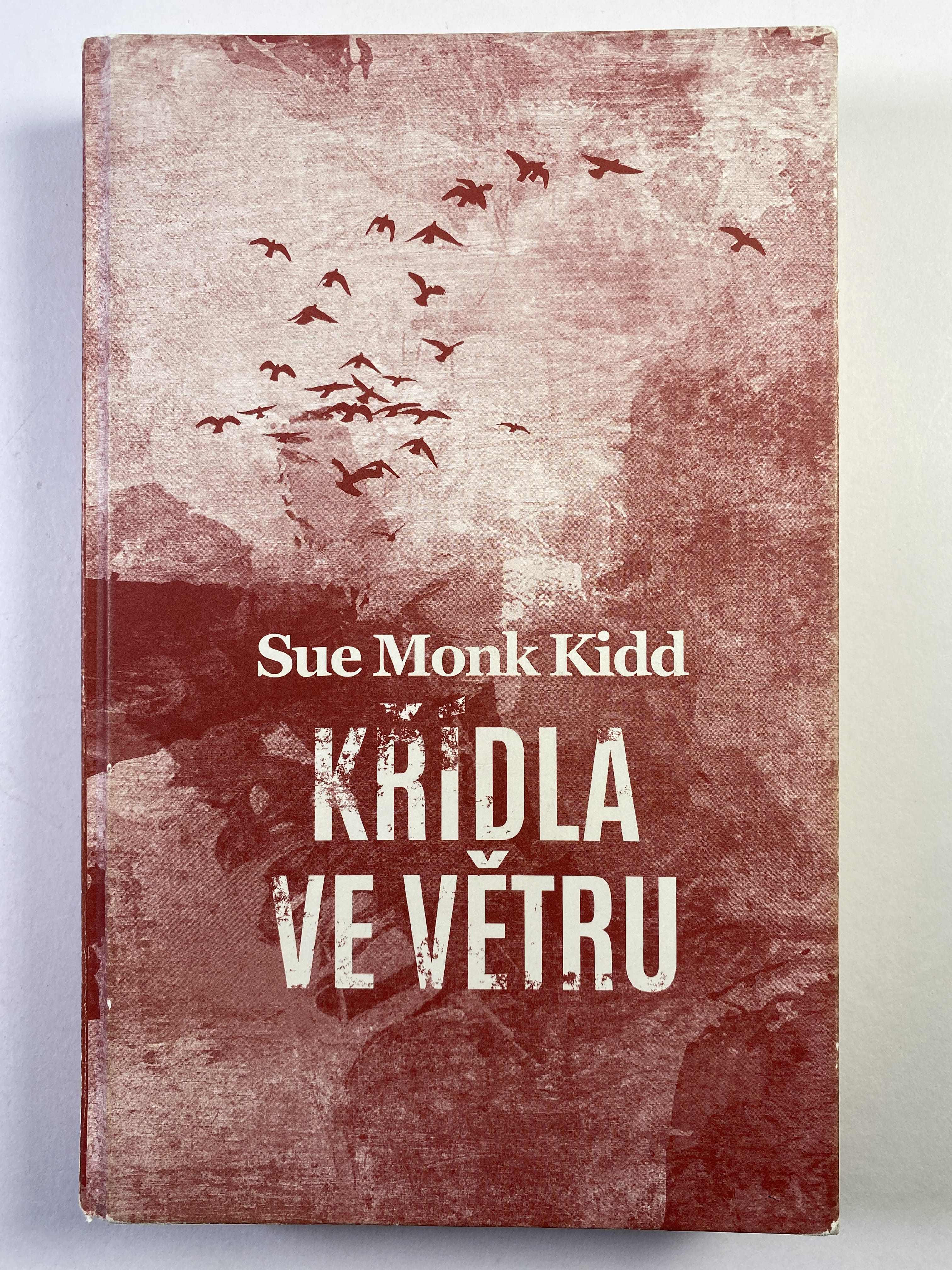 Křídla ve větru - Inspirativní příběh o ženě, která se rozhodla změnit svět Pevná (bez obalu)