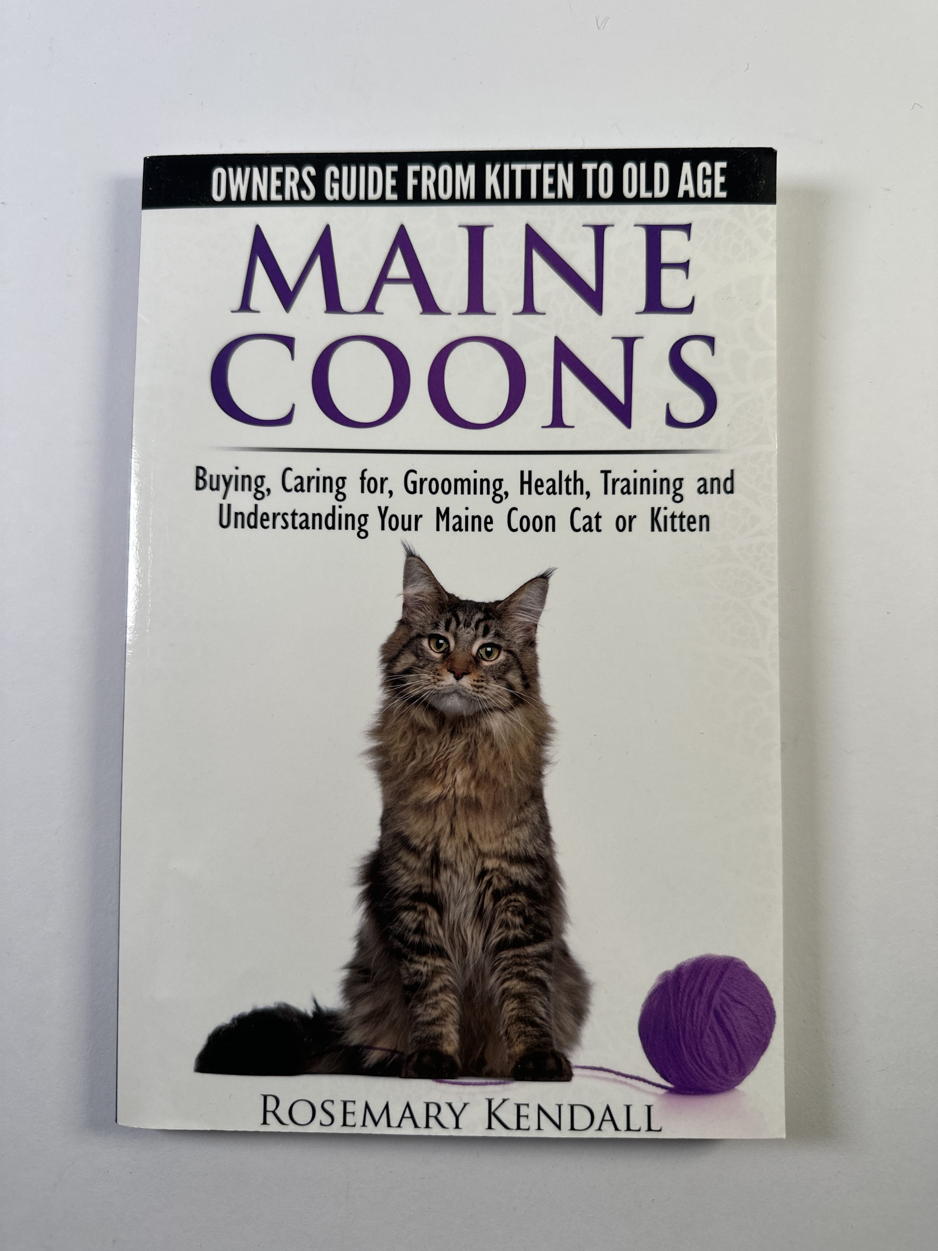 Levně Maine coons