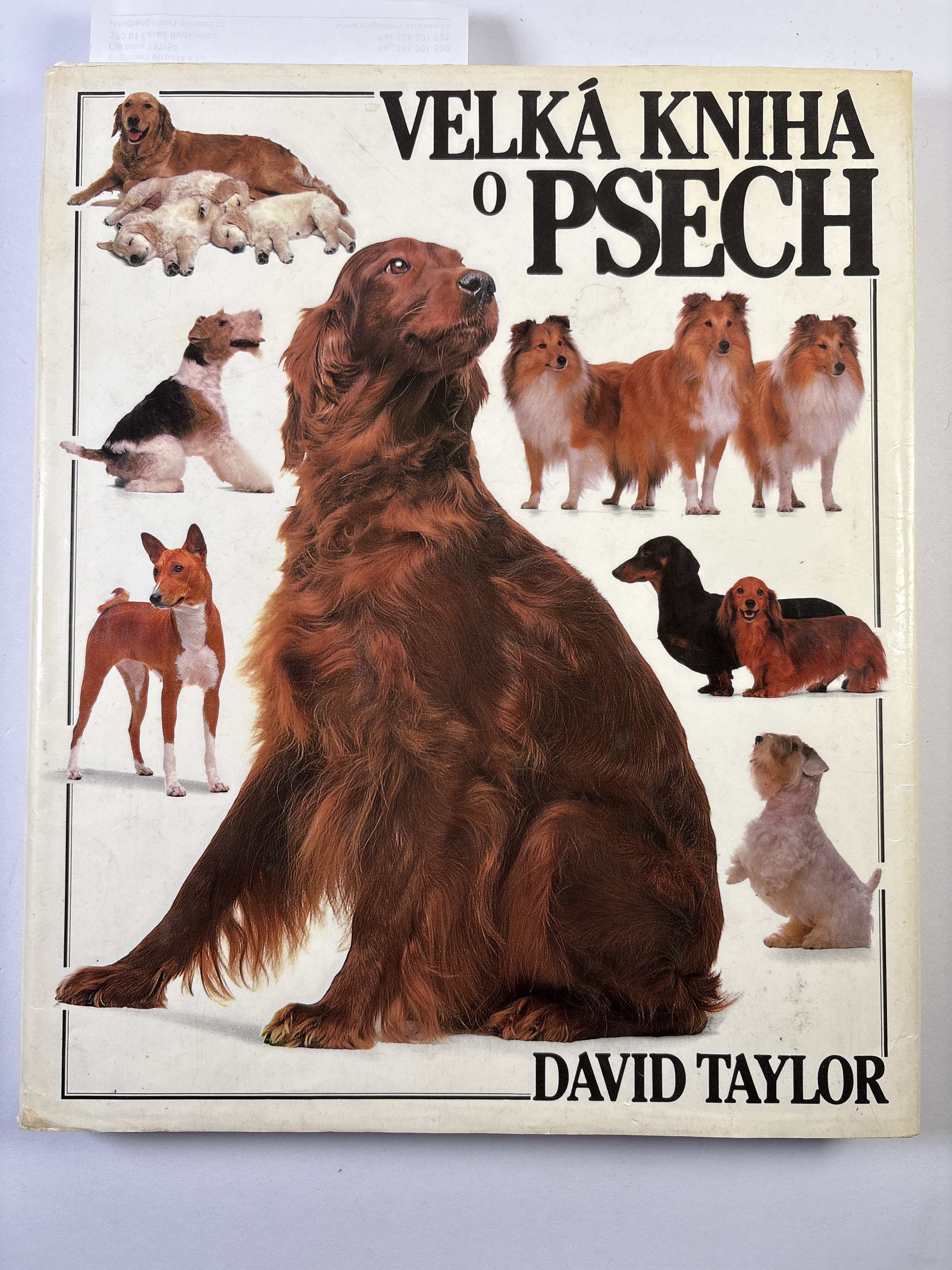 Levně Velká kniha o psech Pevná (1993)