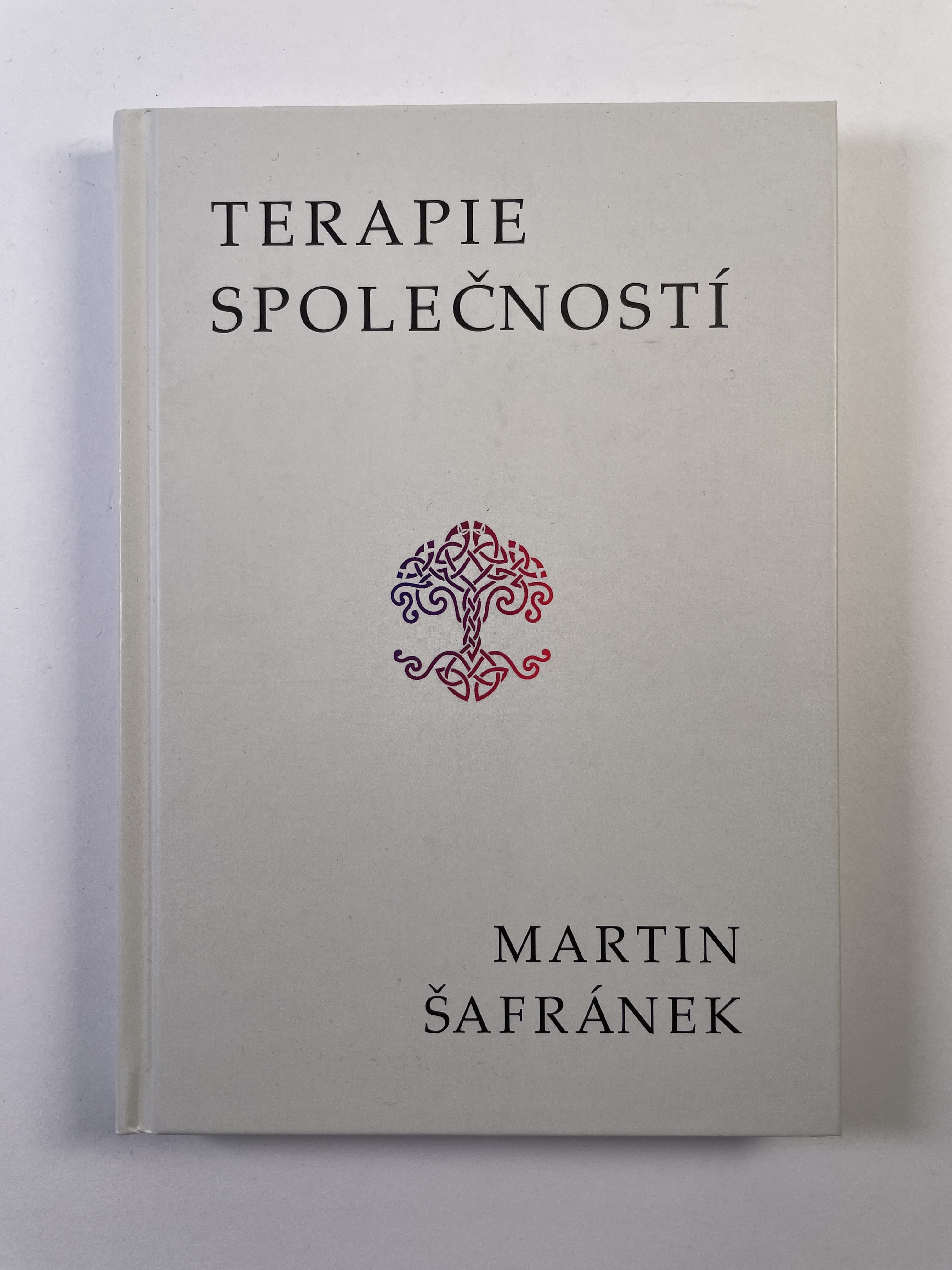 Terapie společností