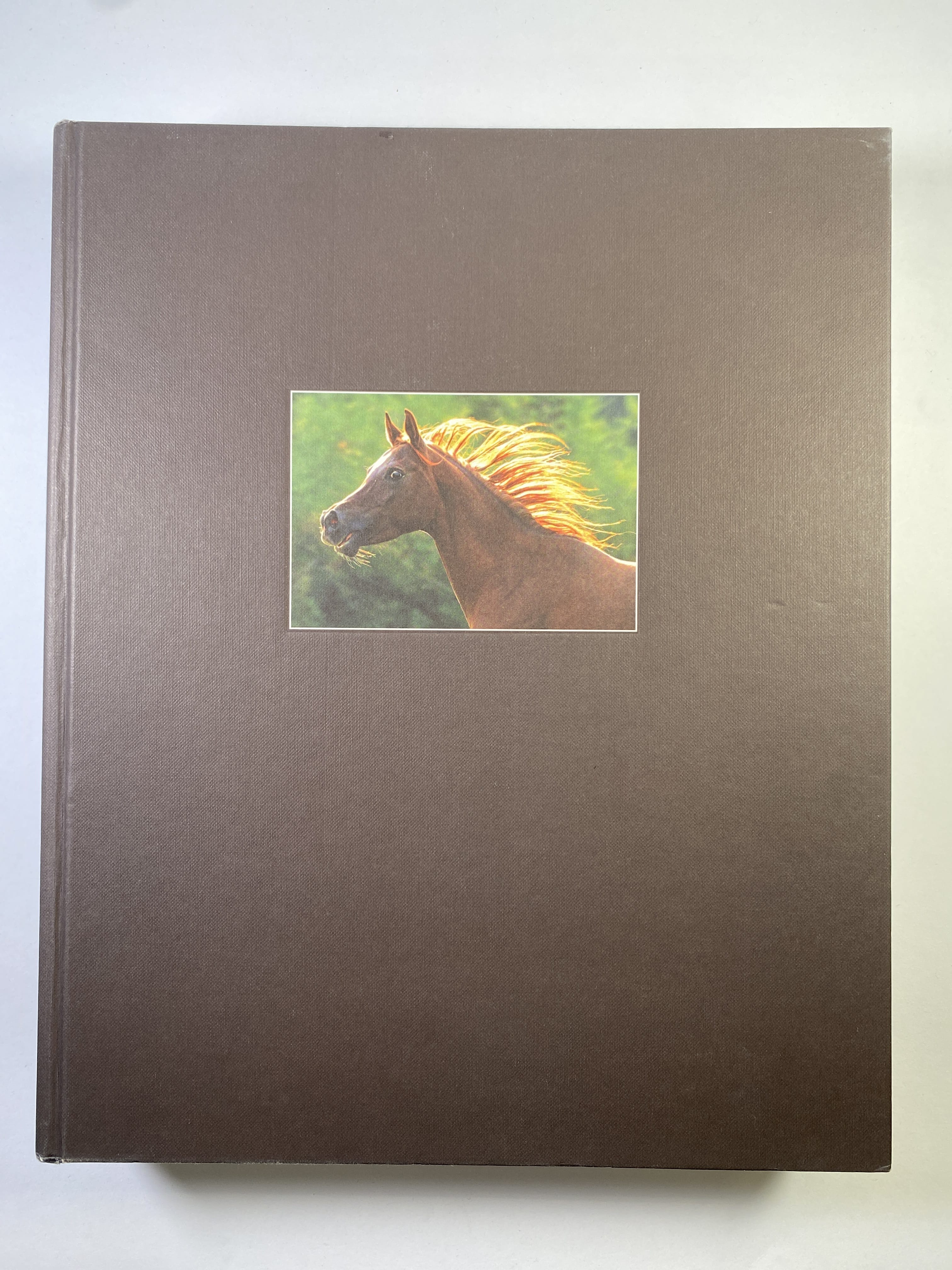 Levně The World of Free Horses/Die Welt Freier Pferde/Svět volných koní (bez obalu)