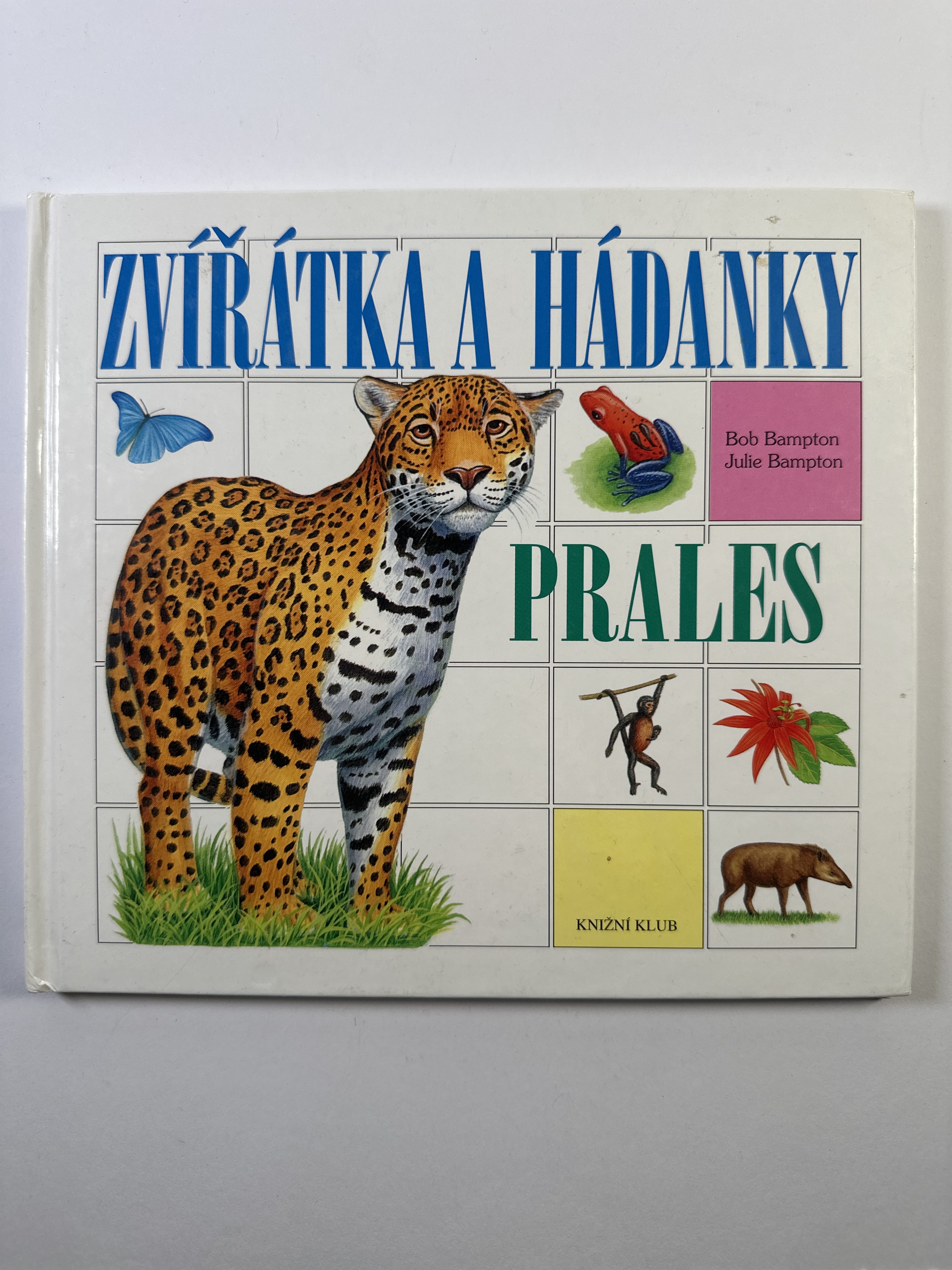 Levně Zvířátka a hádanky: Savana, prales