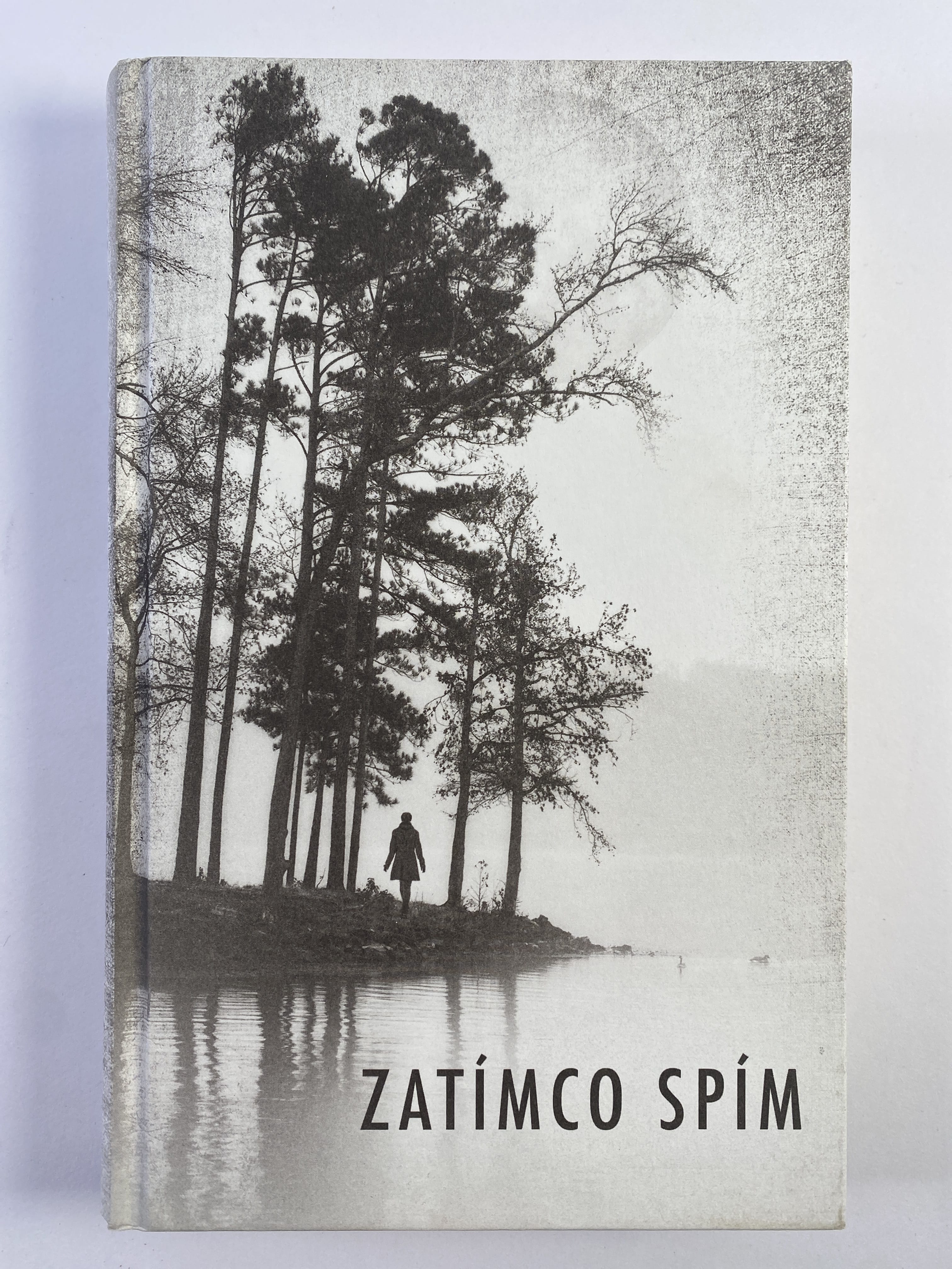 Zatímco spím Pevná (bez obalu)