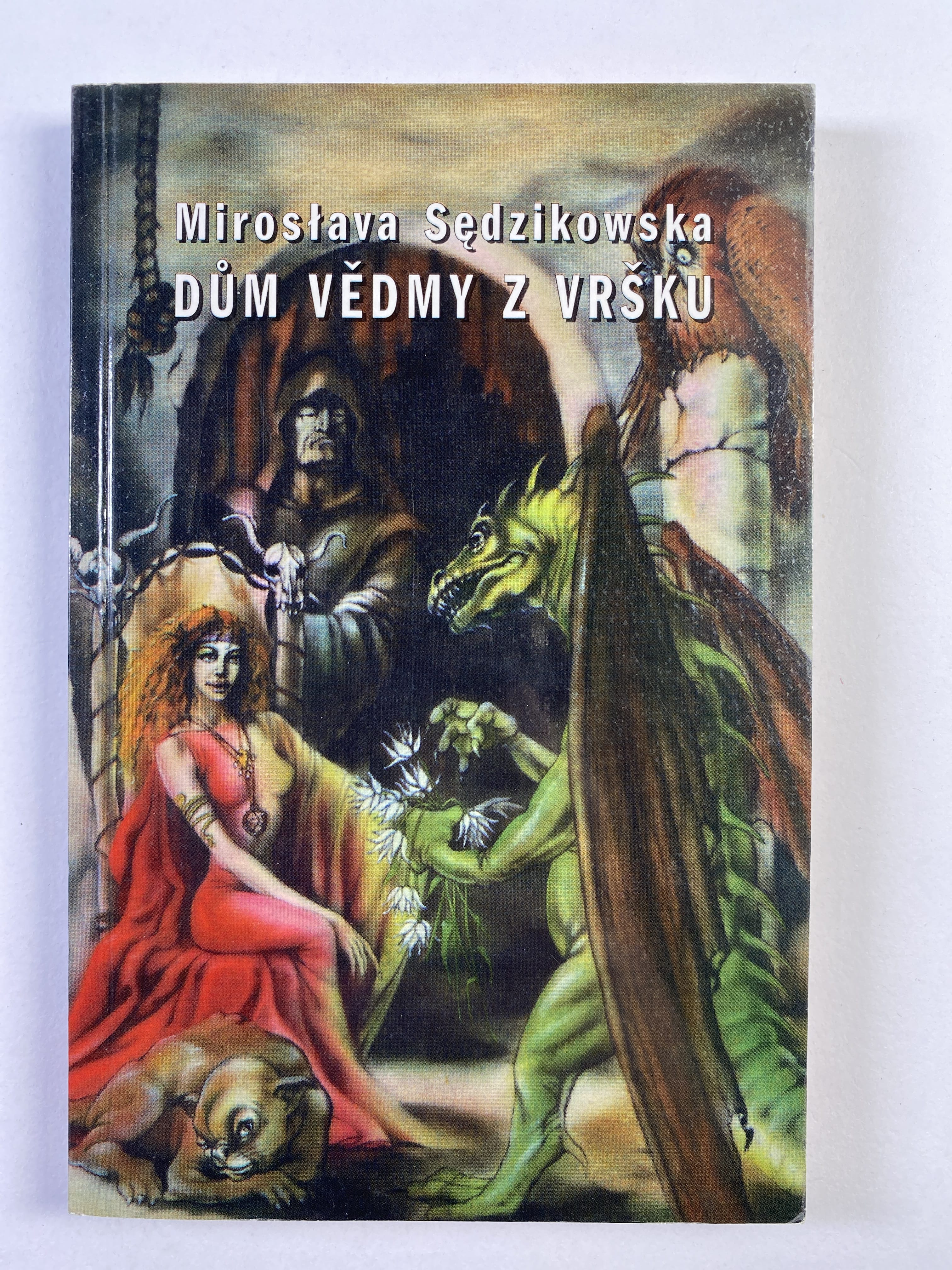 Levně Dům vědmy z vršku