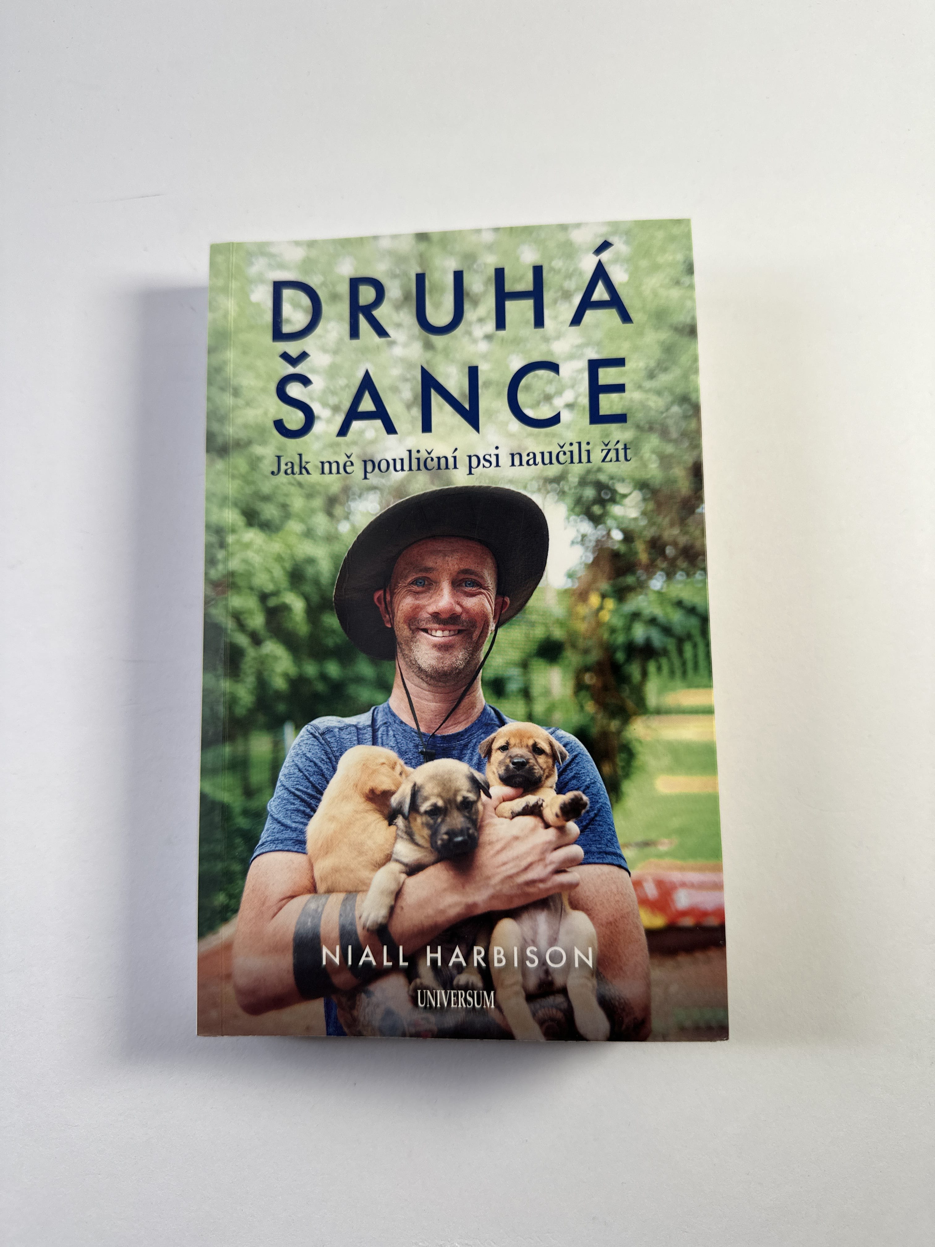 Druhá šance: Jak mě pouliční psi naučili žít