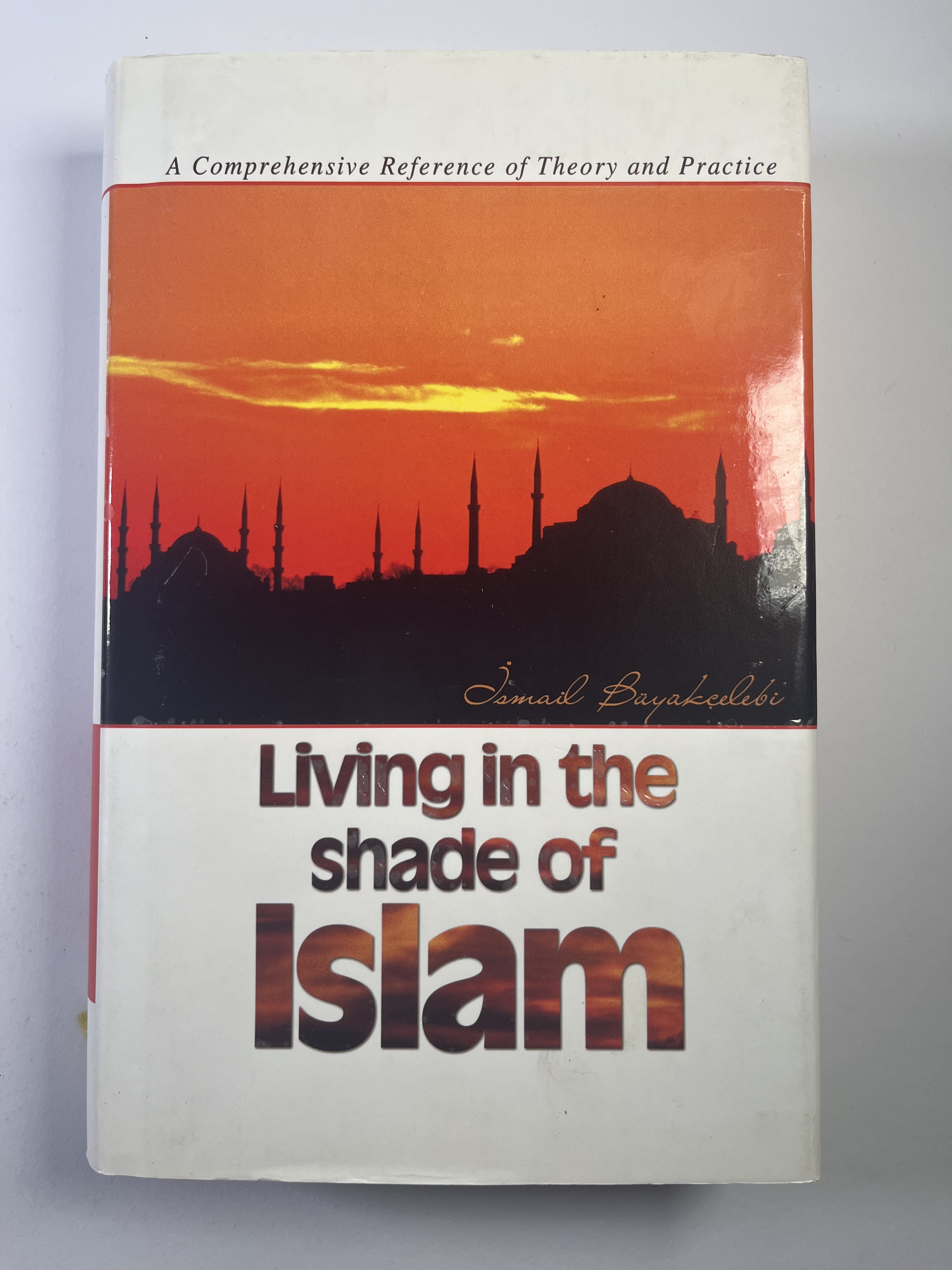 Levně Living in the Shade of Islam