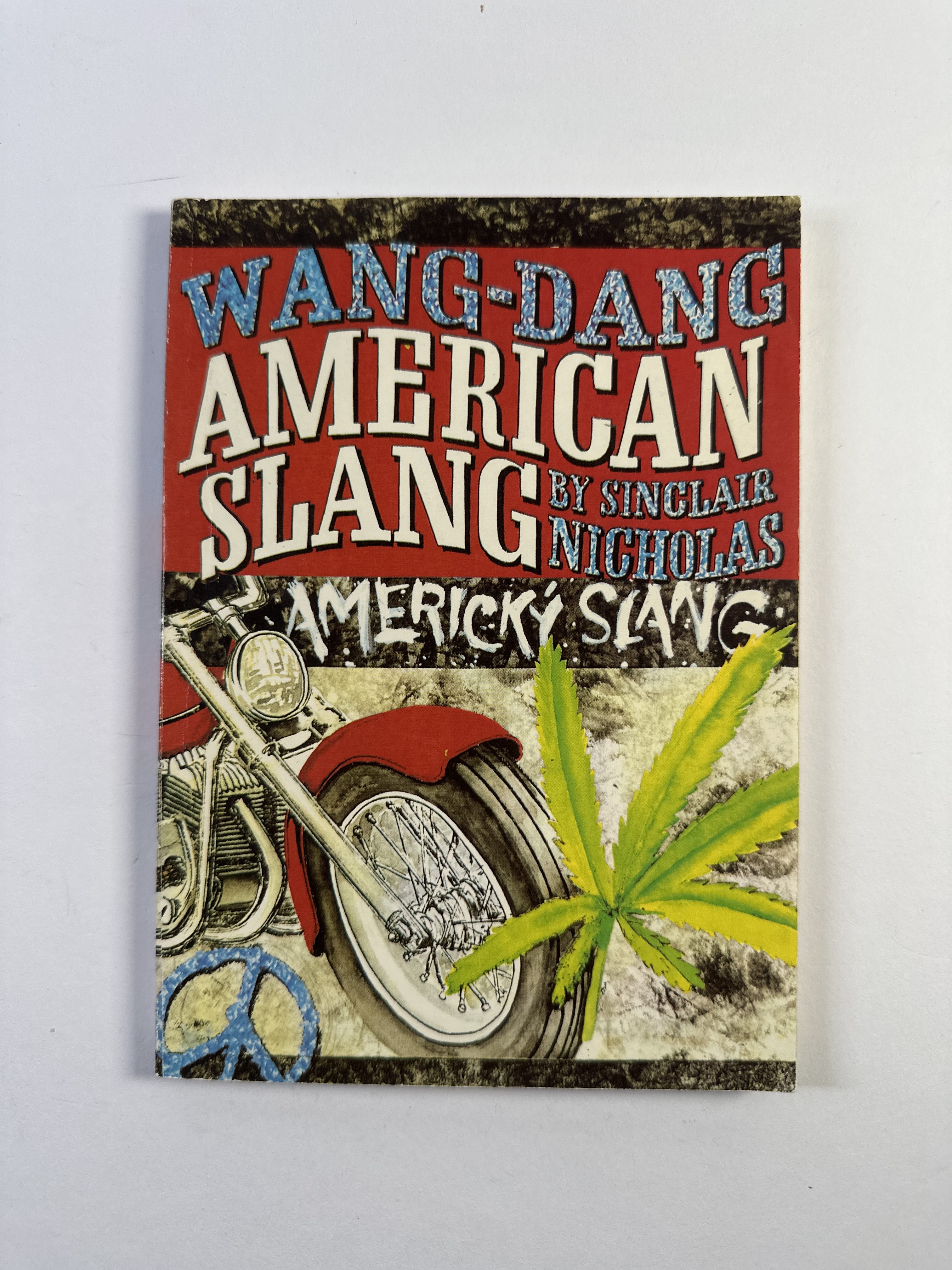 Levně Wang dang: americký slang