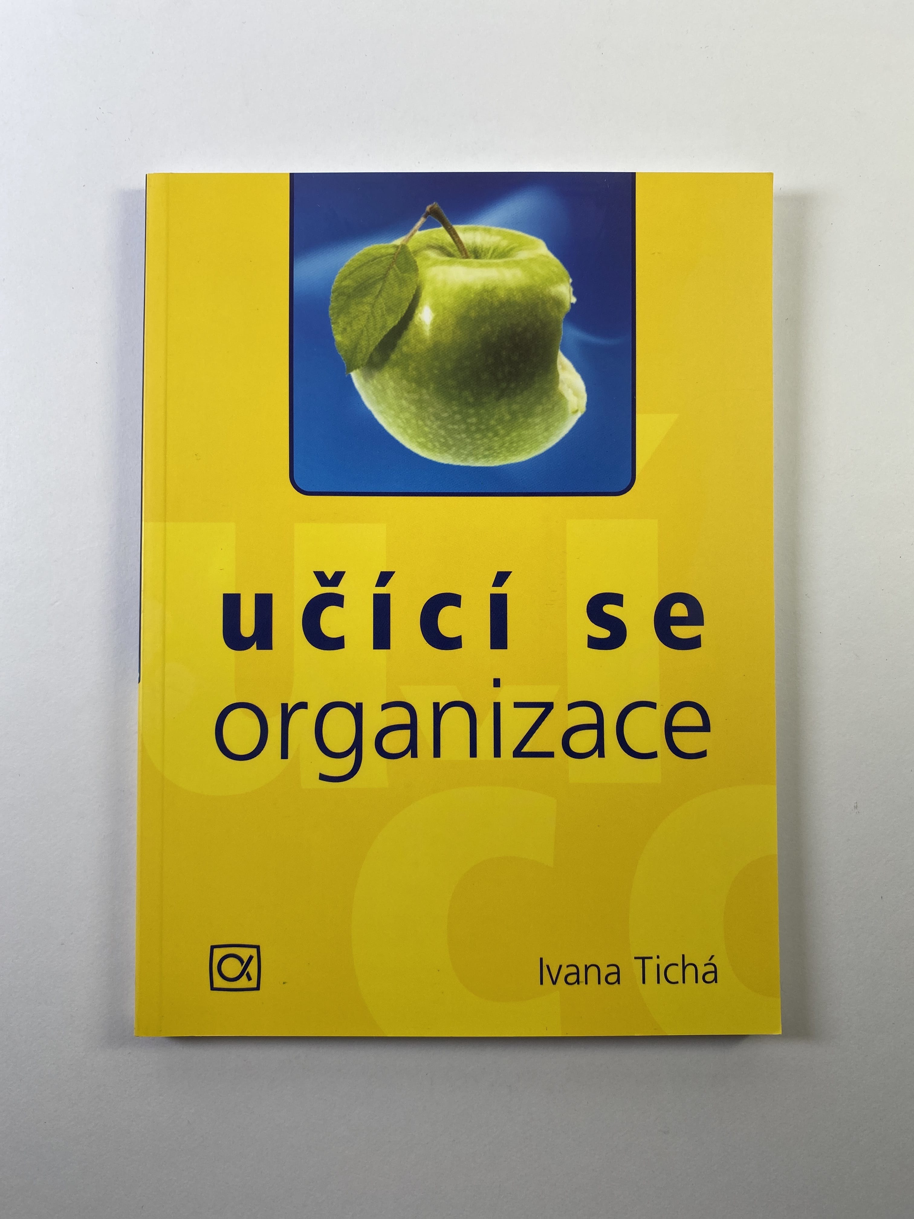 Levně Učící se organizace