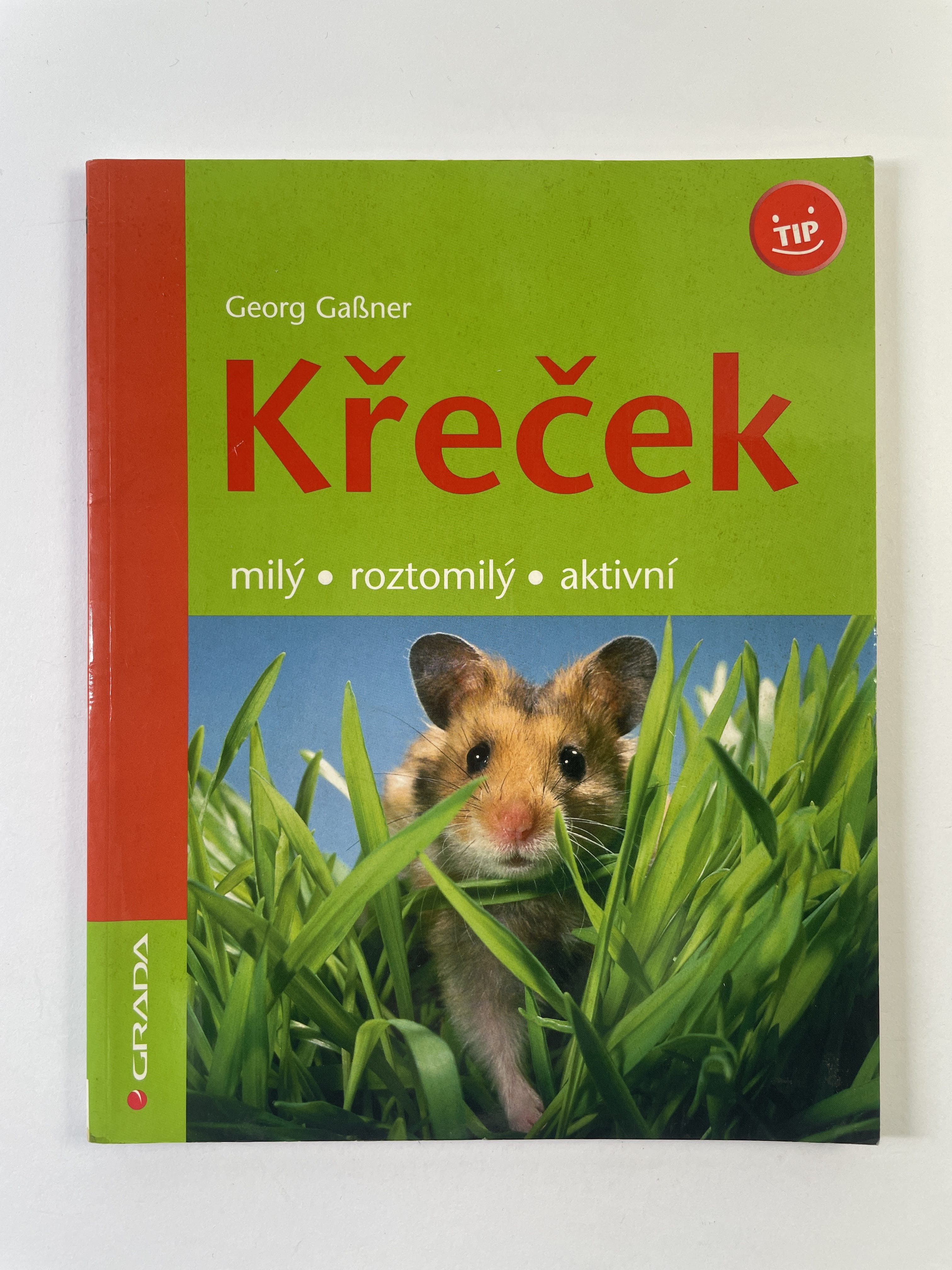 Křeček: Milý, roztomilý, aktivní