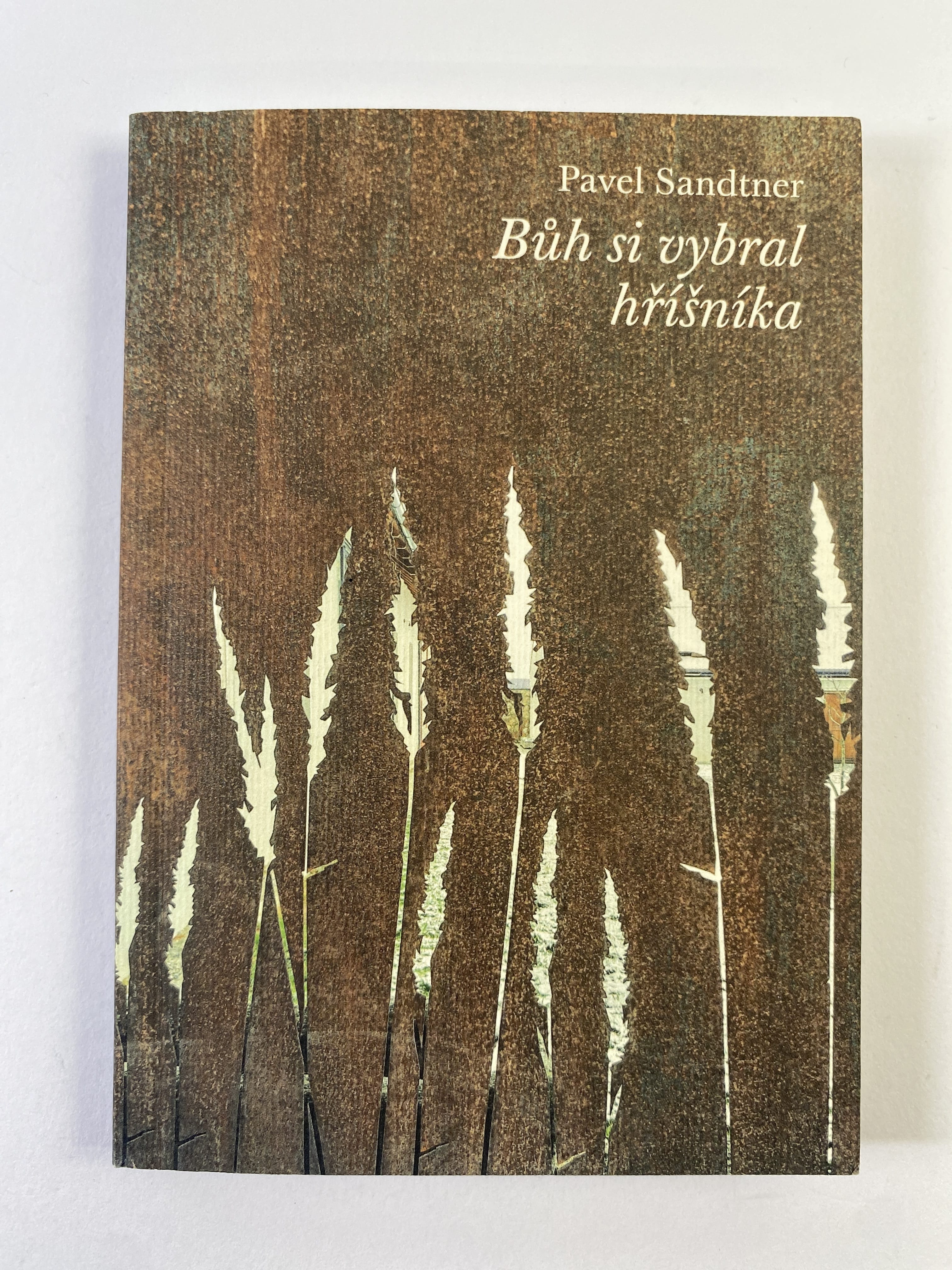 Bůh si vybral hříšníka