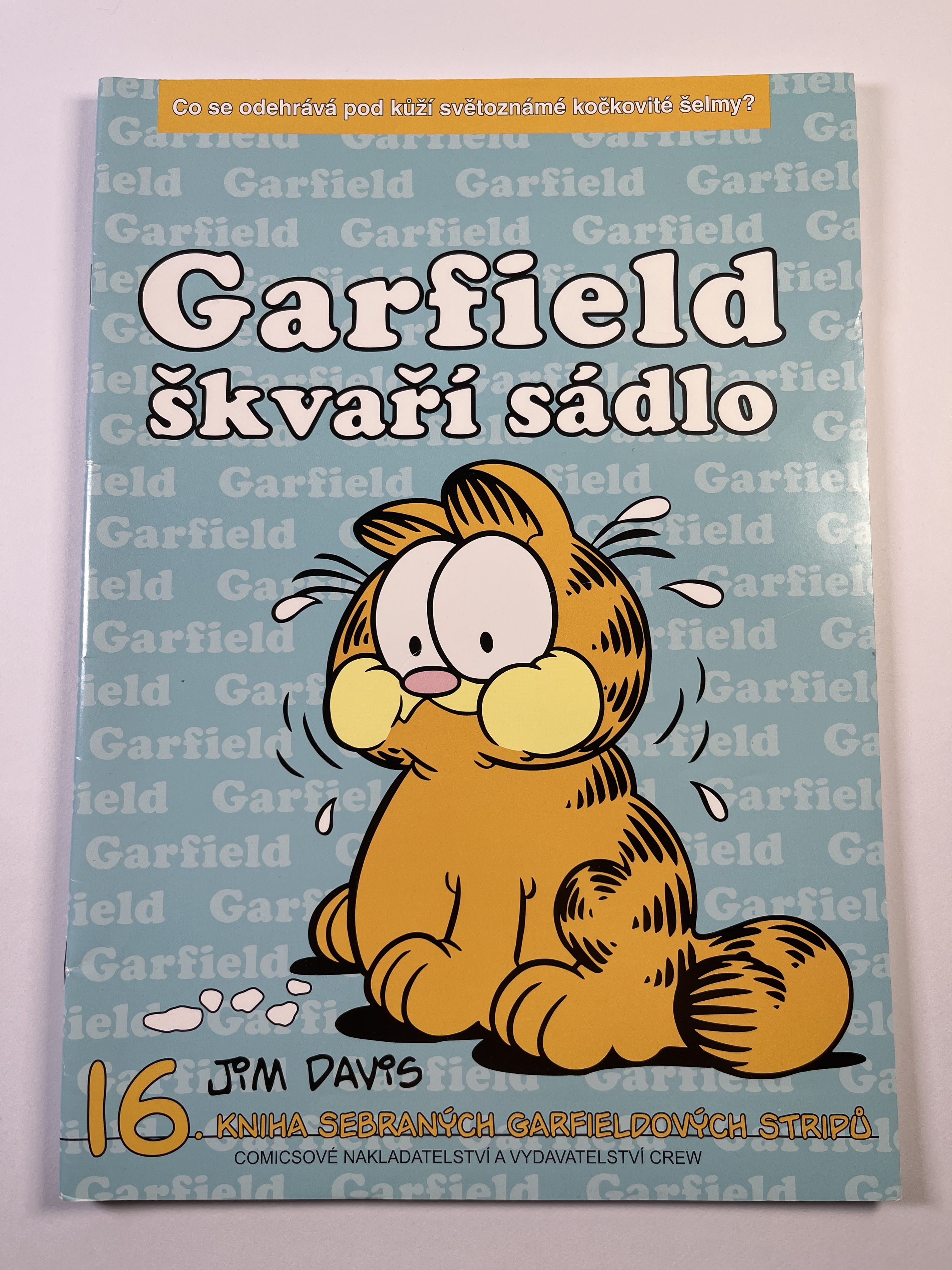 Garfield škvaří sádlo (16)