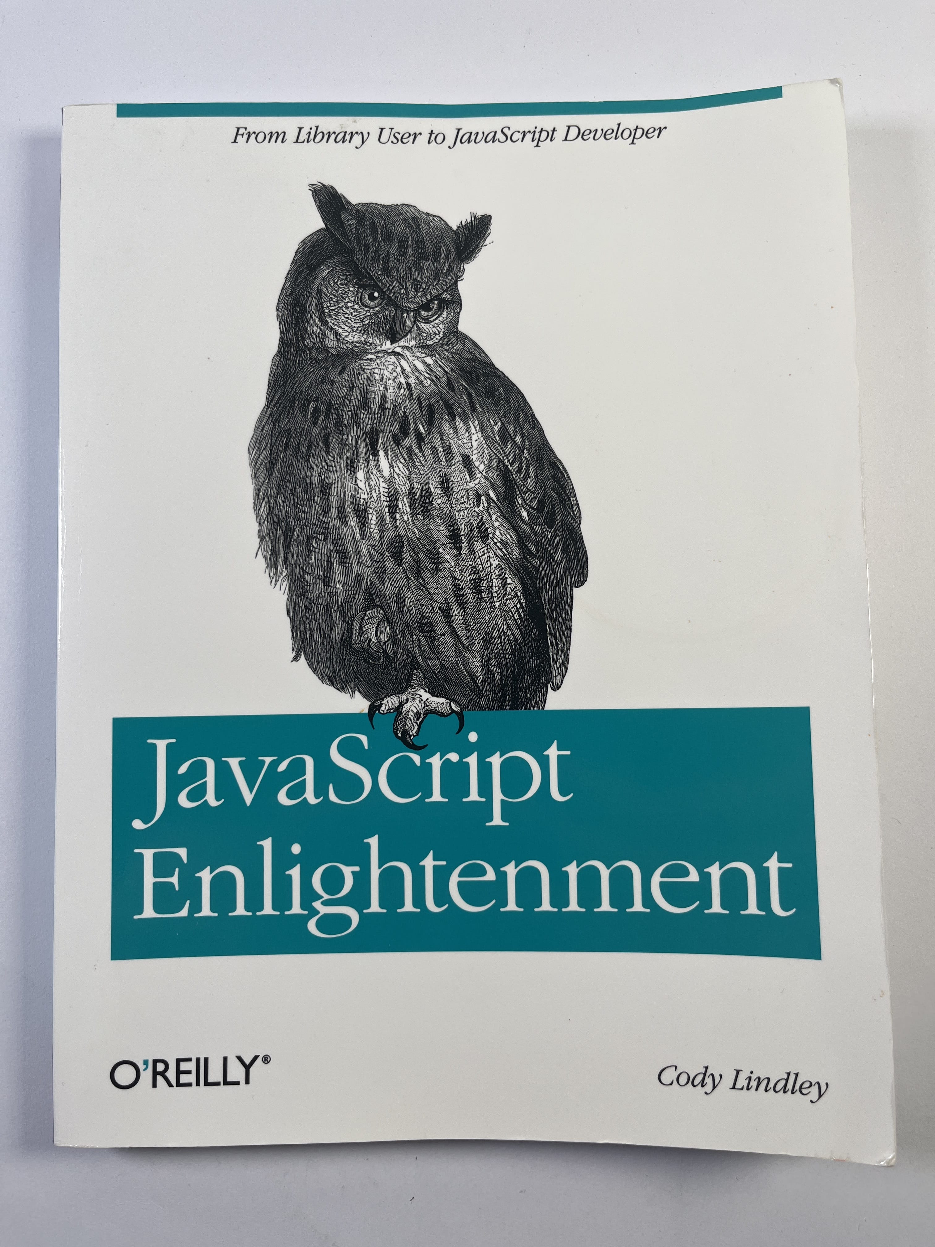 Levně JavaScript Enlightenment
